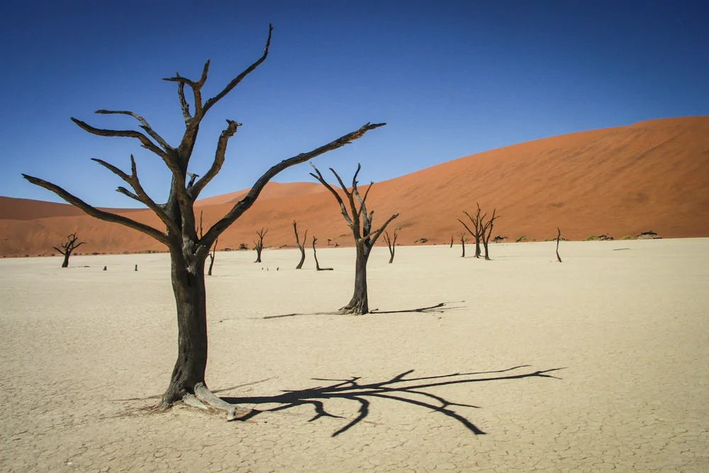 Namibia_0166.jpg