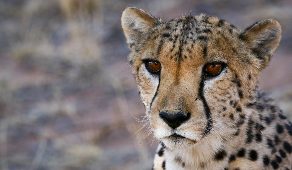Namibia_0593.jpg