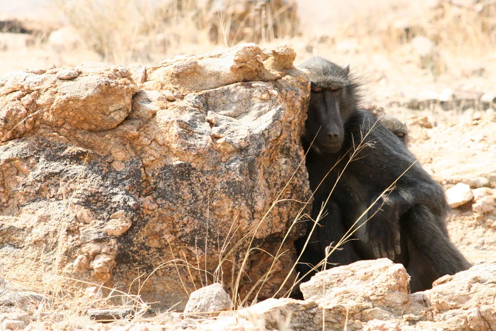 Namibia_3207.jpg