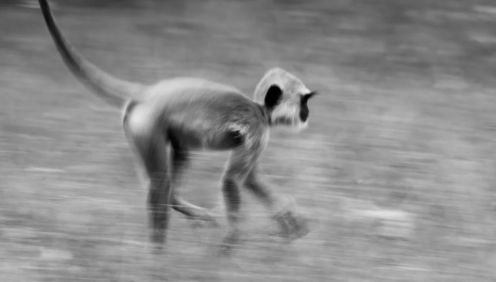 _MG_0768.jpg