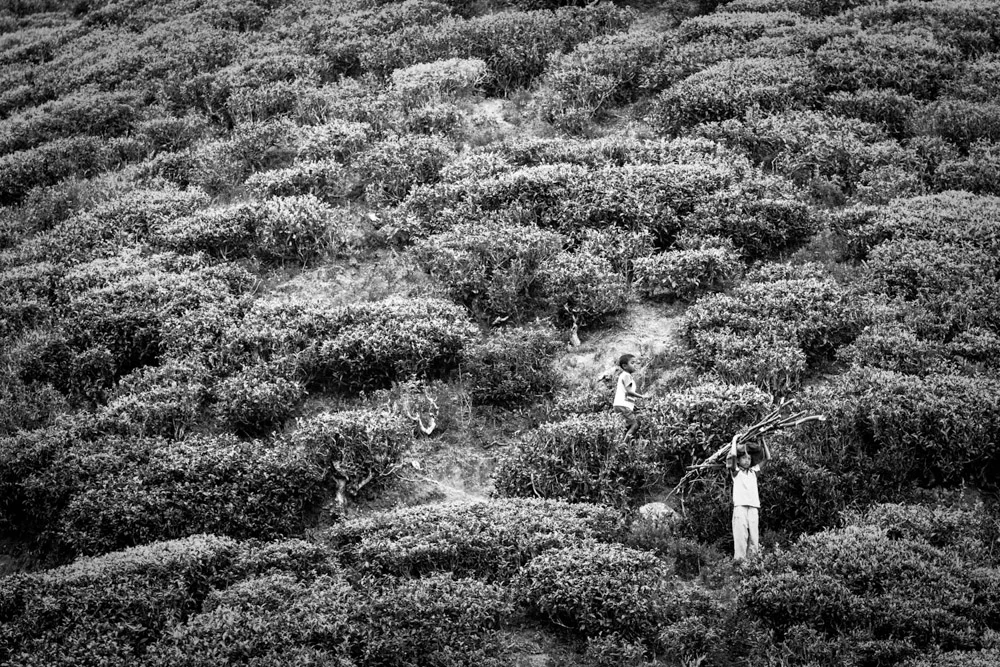 _MG_2071.jpg