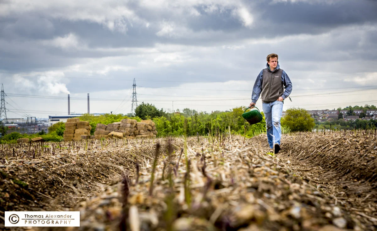 TA010_Asparagus_Farming.jpg