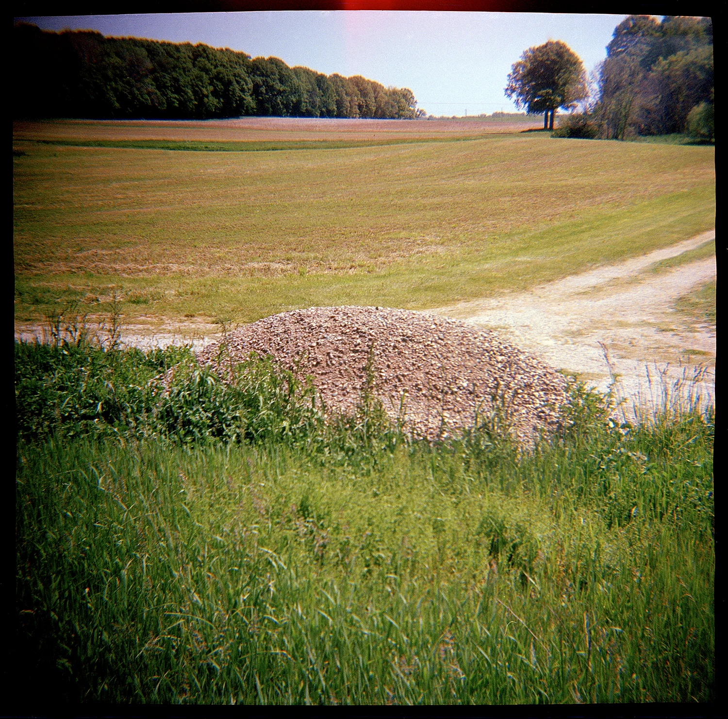 FARM dirt pile and tree.jpg