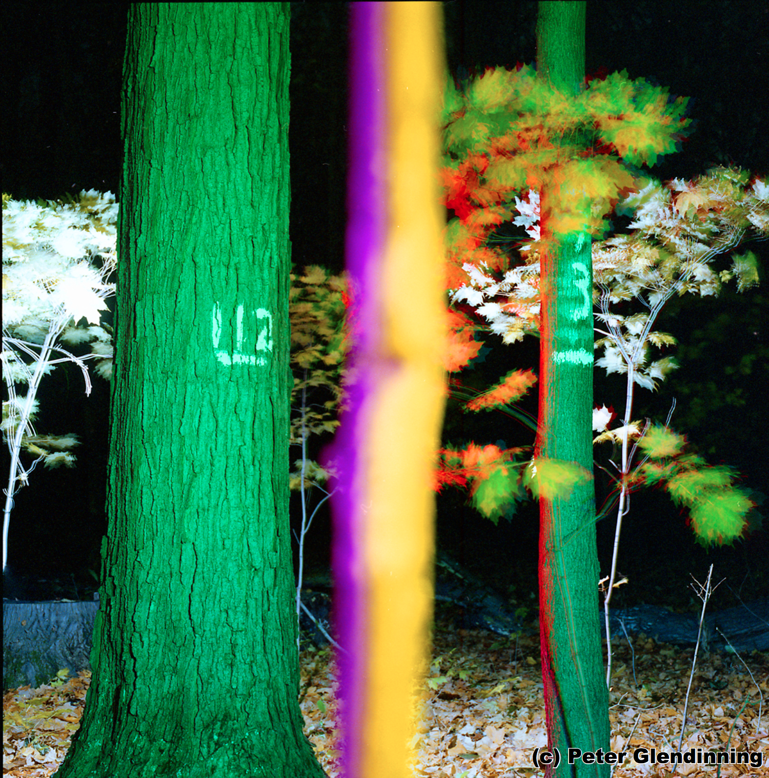 BakerWoodlot 112 113 final copy.jpg