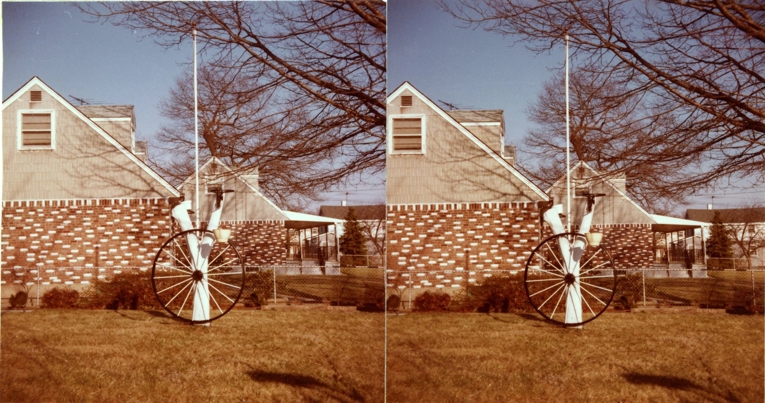 Yard.Work001.jpg