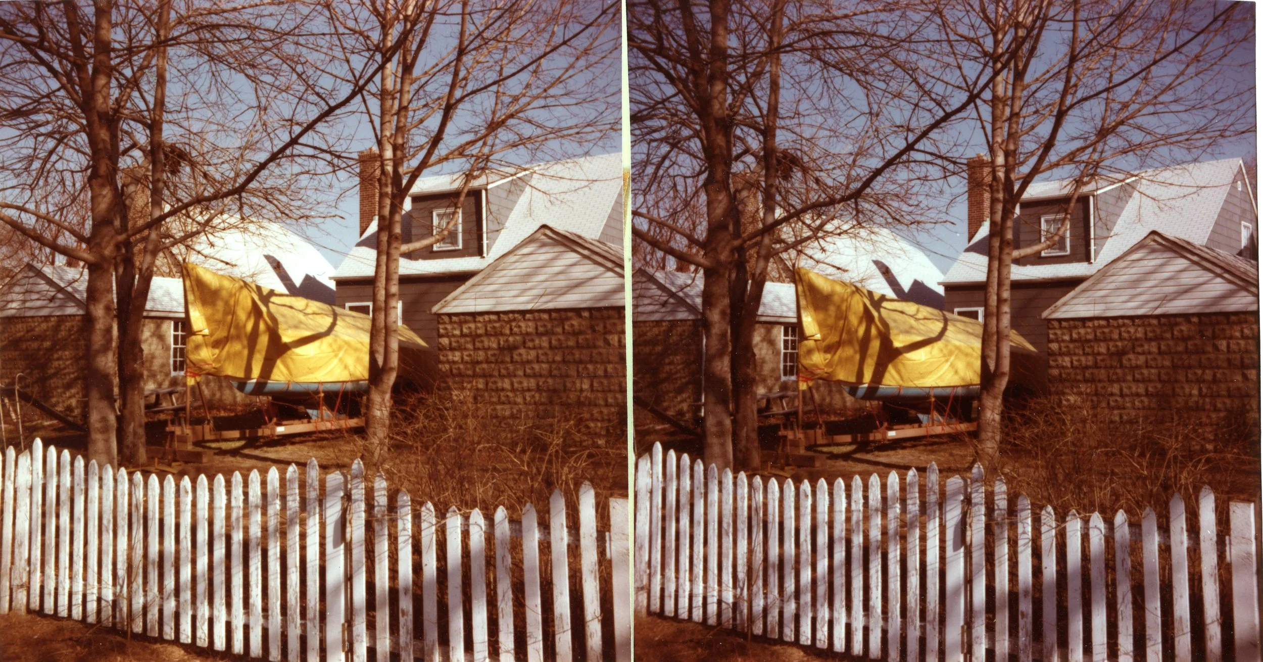 Yard.Work005.jpg