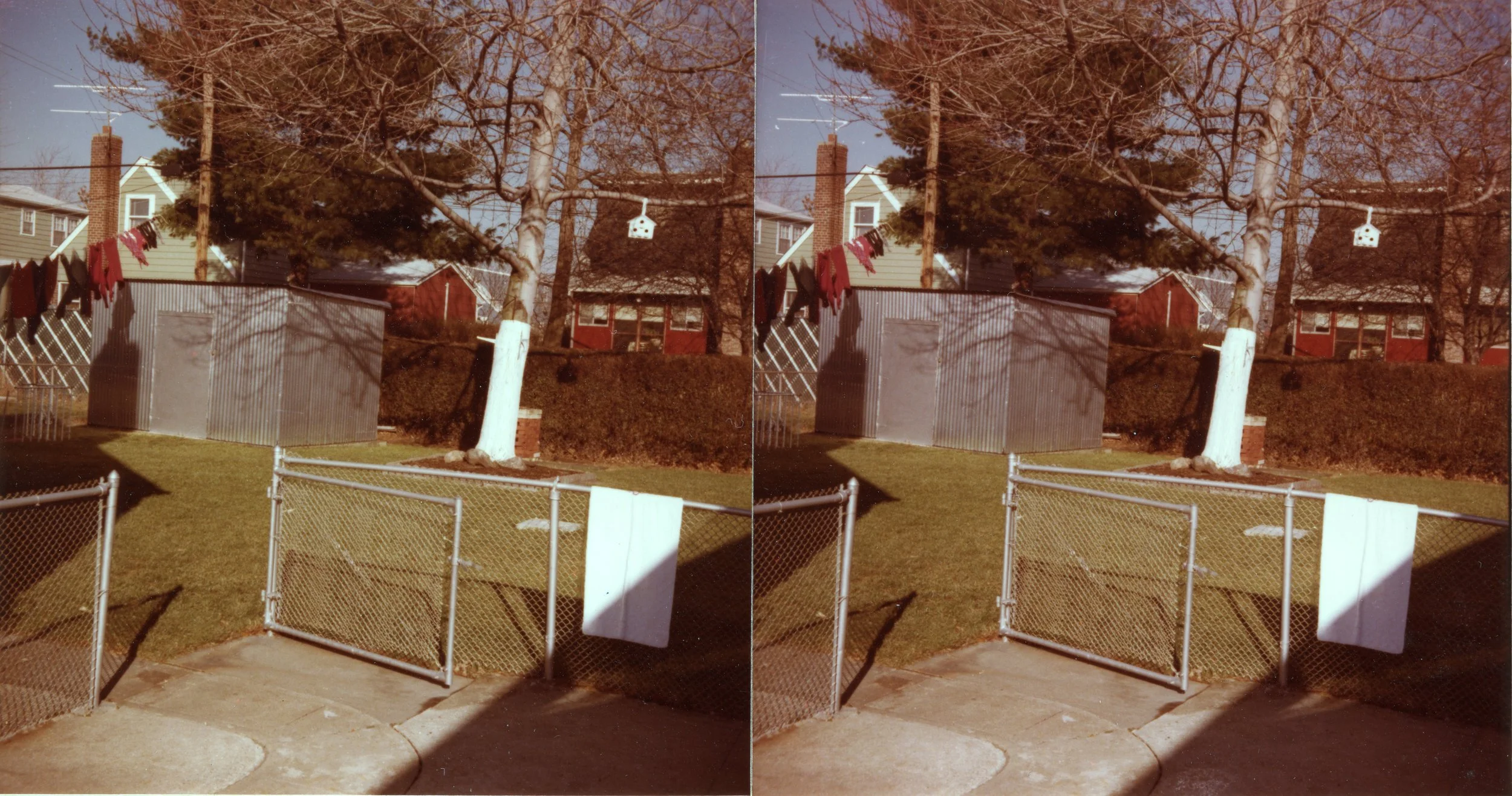 Yard.Work006.jpg