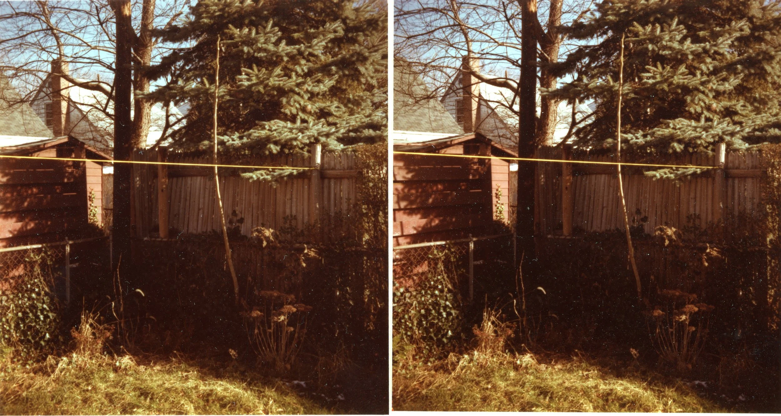 Yard.Work010.jpg