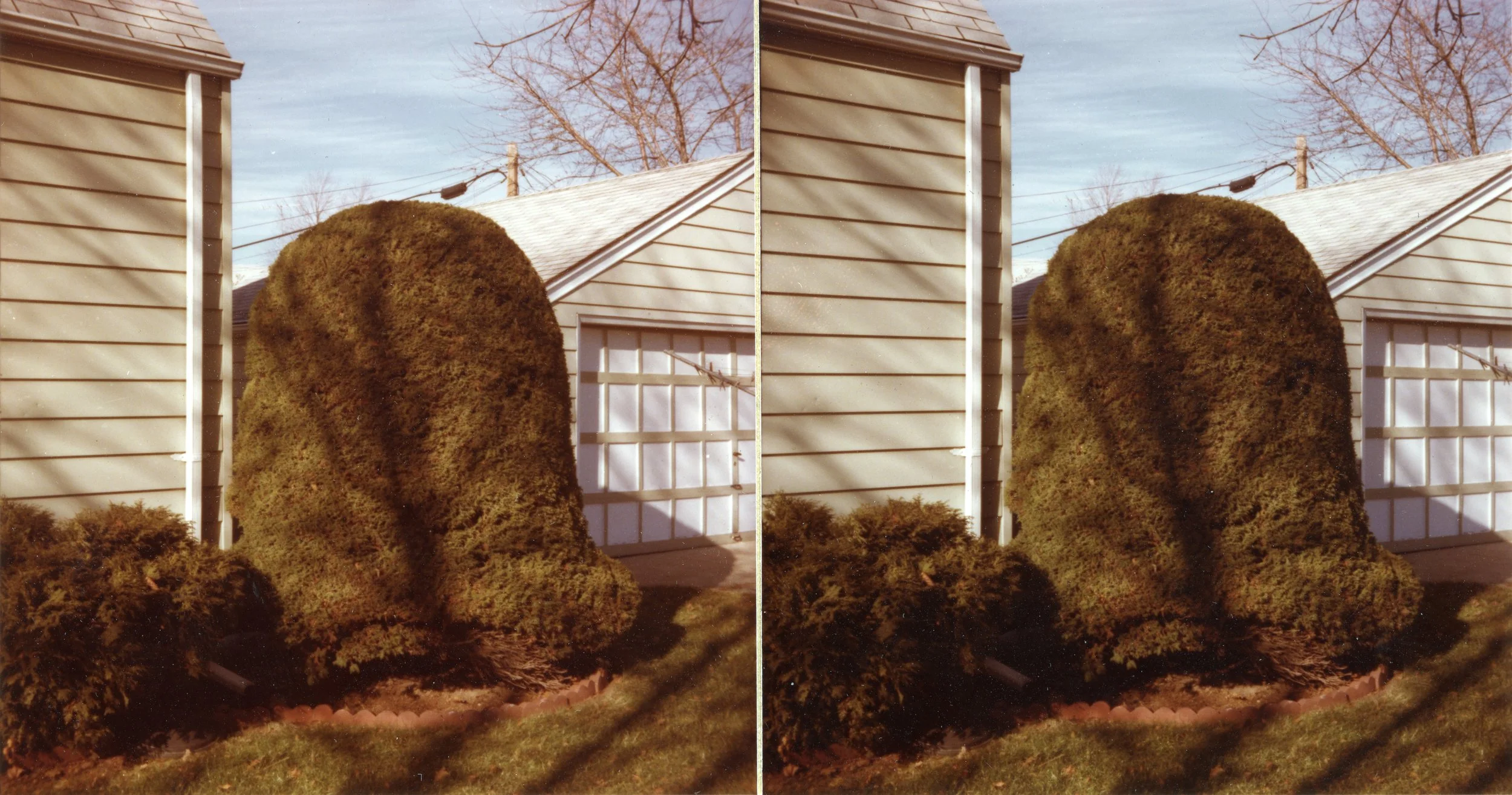 Yard.Work013.jpg