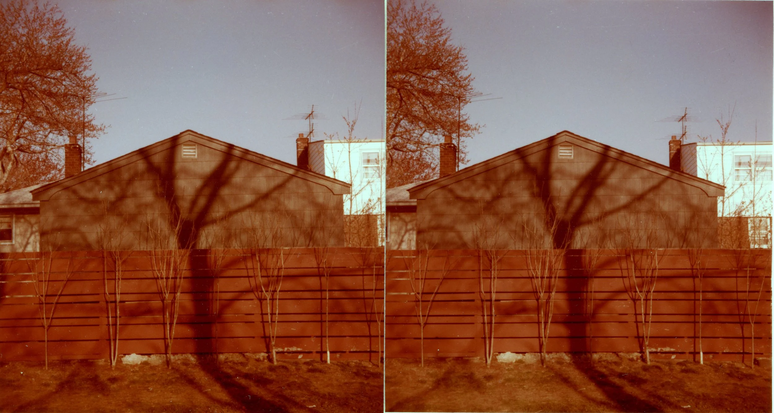 Yard.Work017.jpg