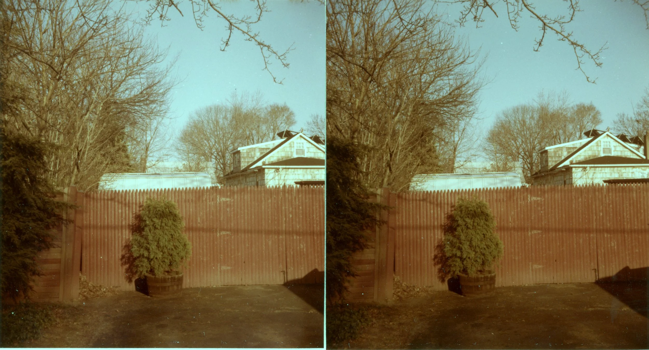 Yard.Work021.jpg