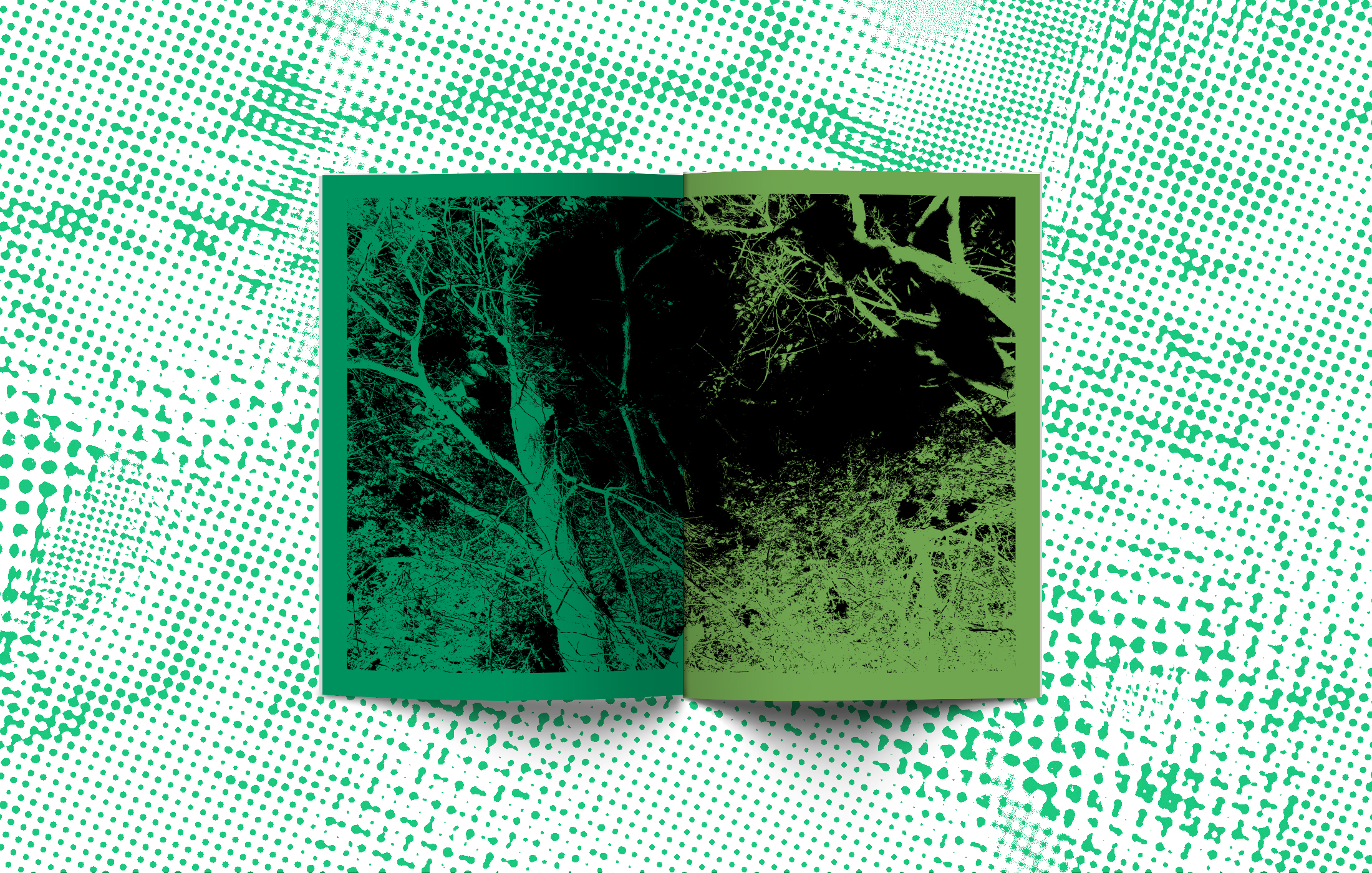 Green-spread_1.jpg