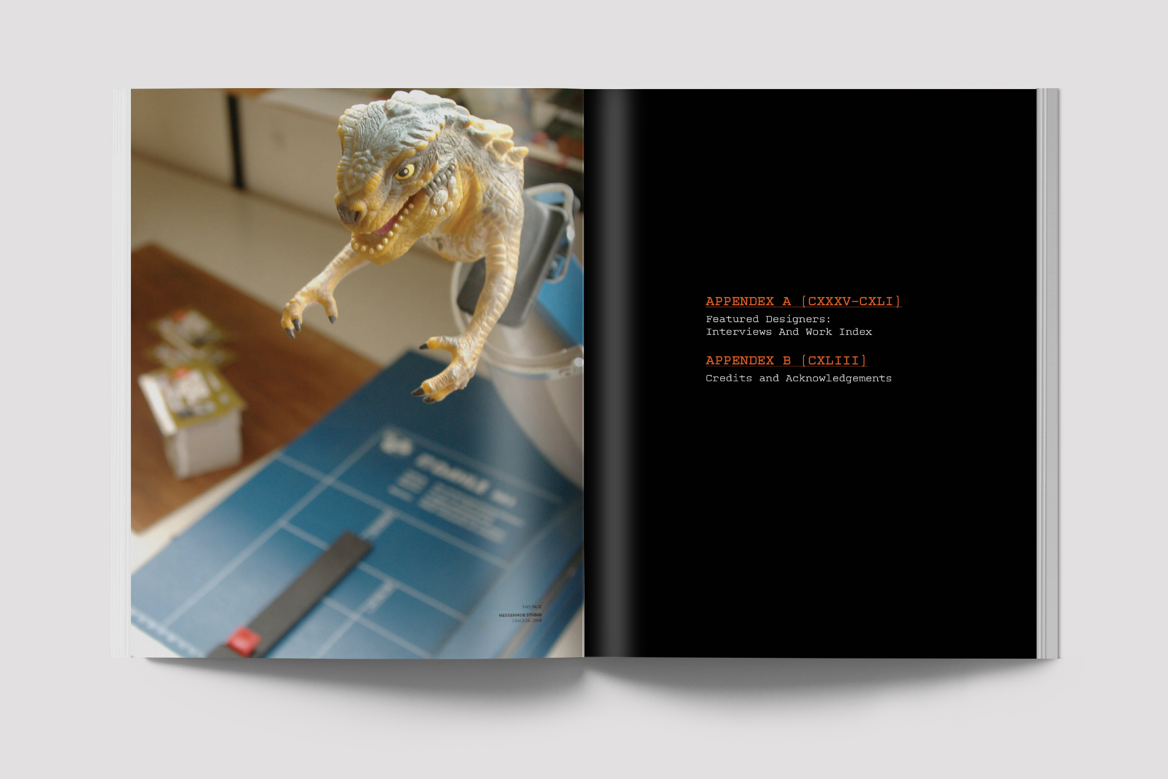 The final section of the book is an appendix that features interviews with as many of the artists included in the book as we could get in touch.