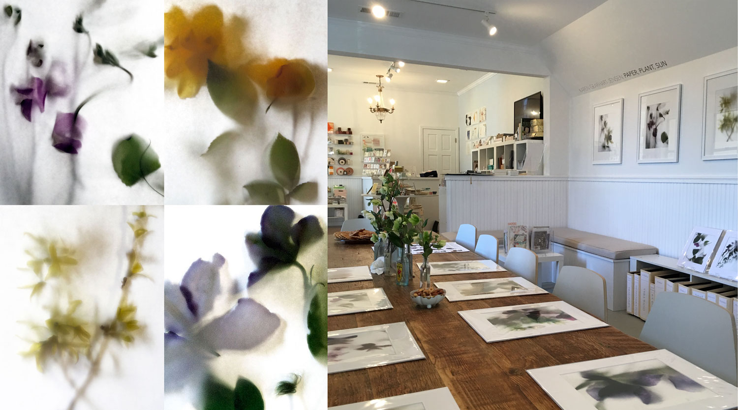 Right to left...Sweet Pea, Rose Yellow, Forsythia, Clematis, Honey Paper gallery