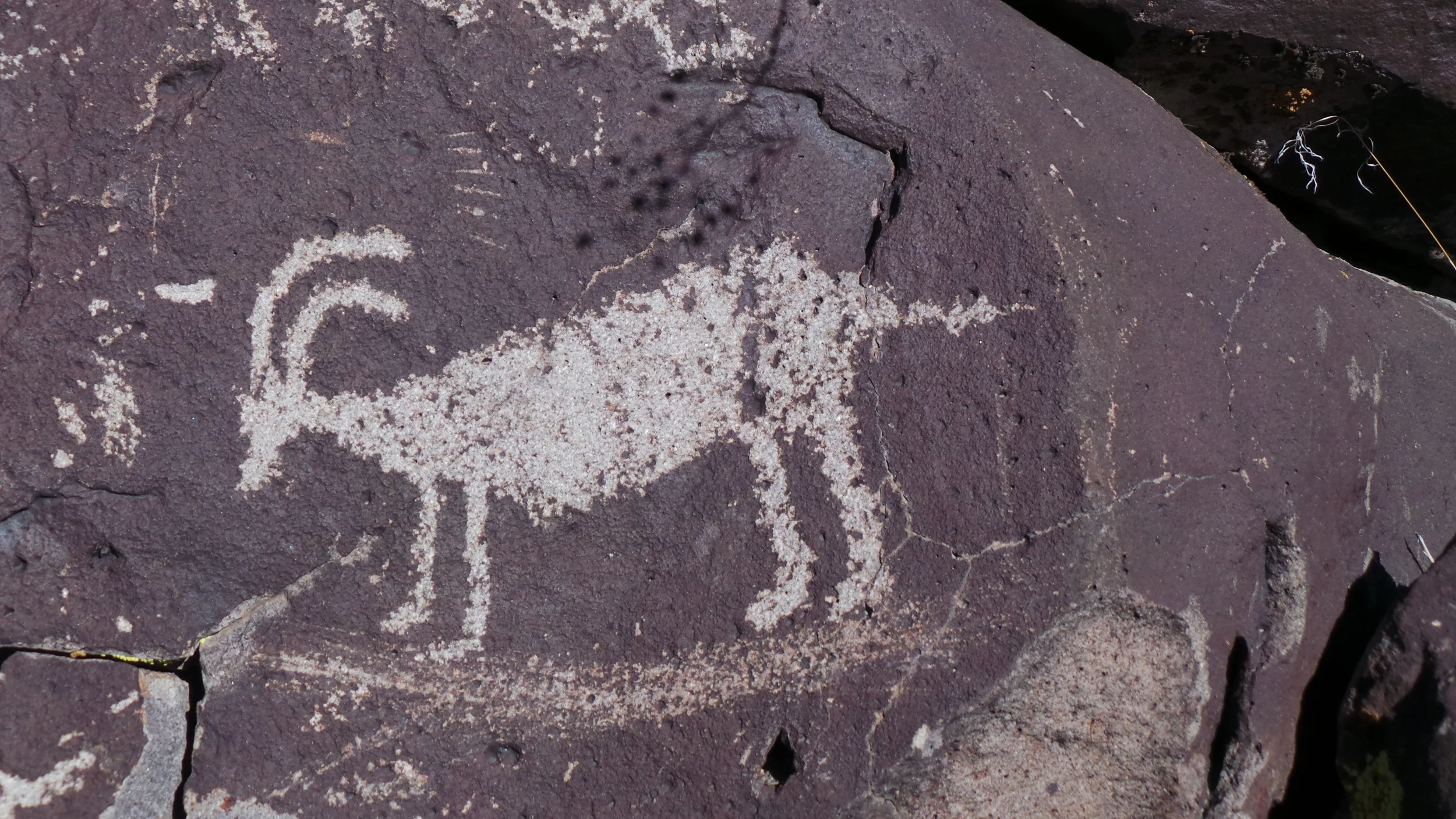 Lagomarsino Petroglyph Site 178.JPG