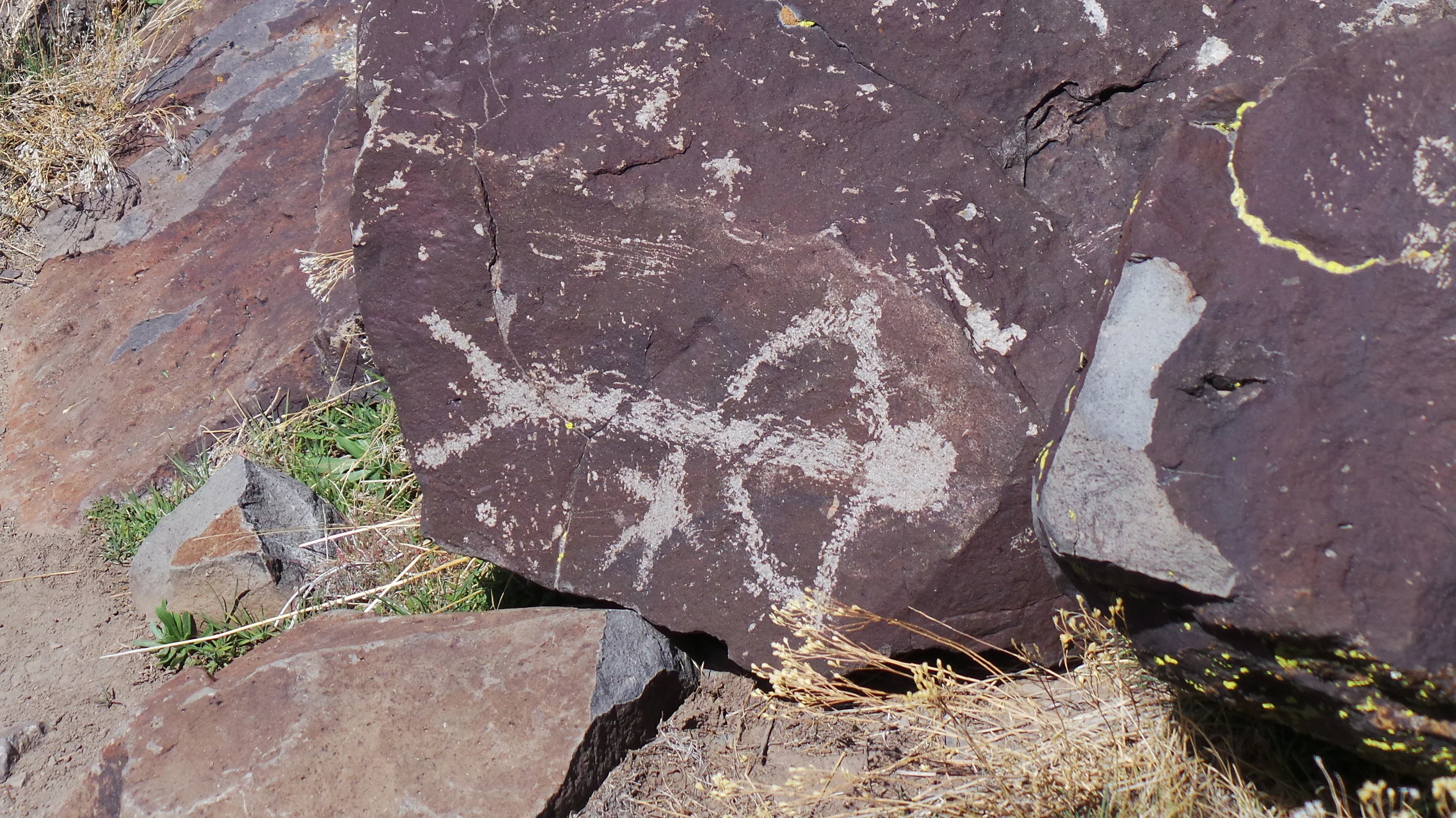 Lagomarsino Petroglyph Site 180.JPG