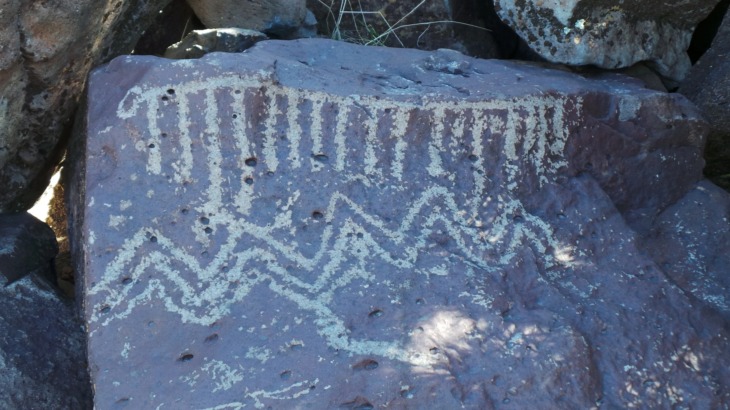 Lagomarsino Petroglyph Site 181.JPG