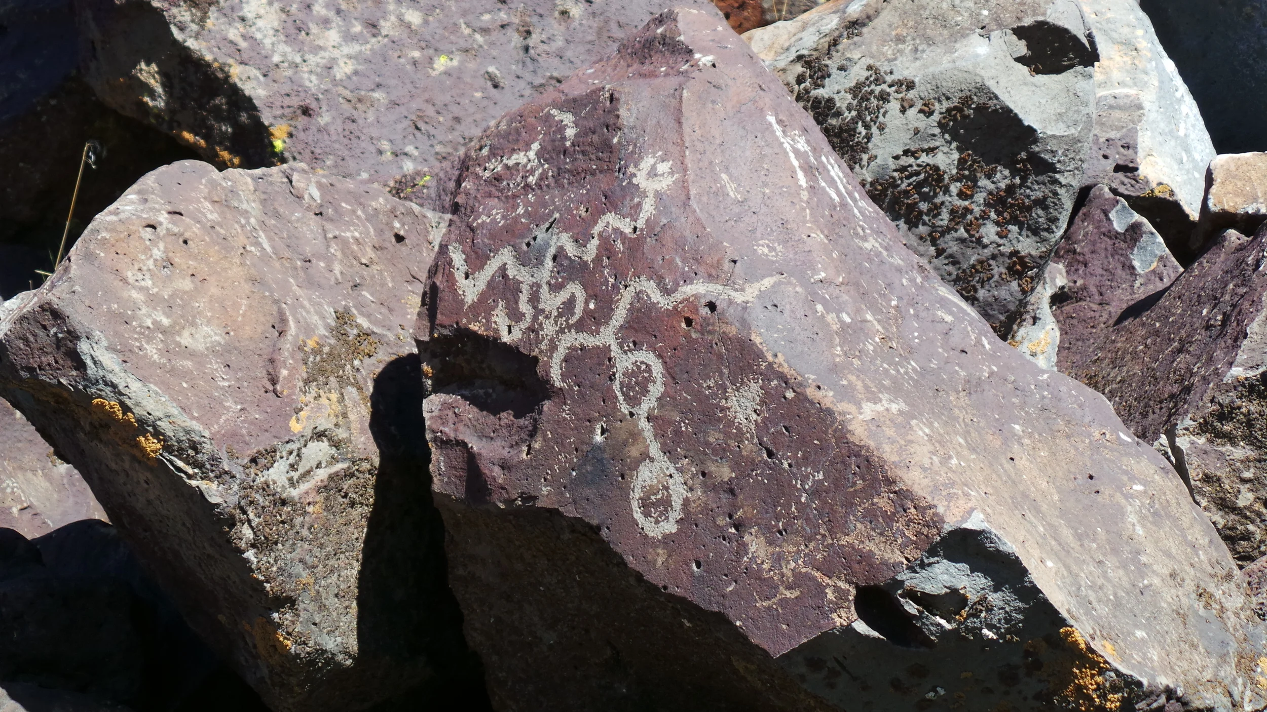 Lagomarsino Petroglyph Site 182.JPG