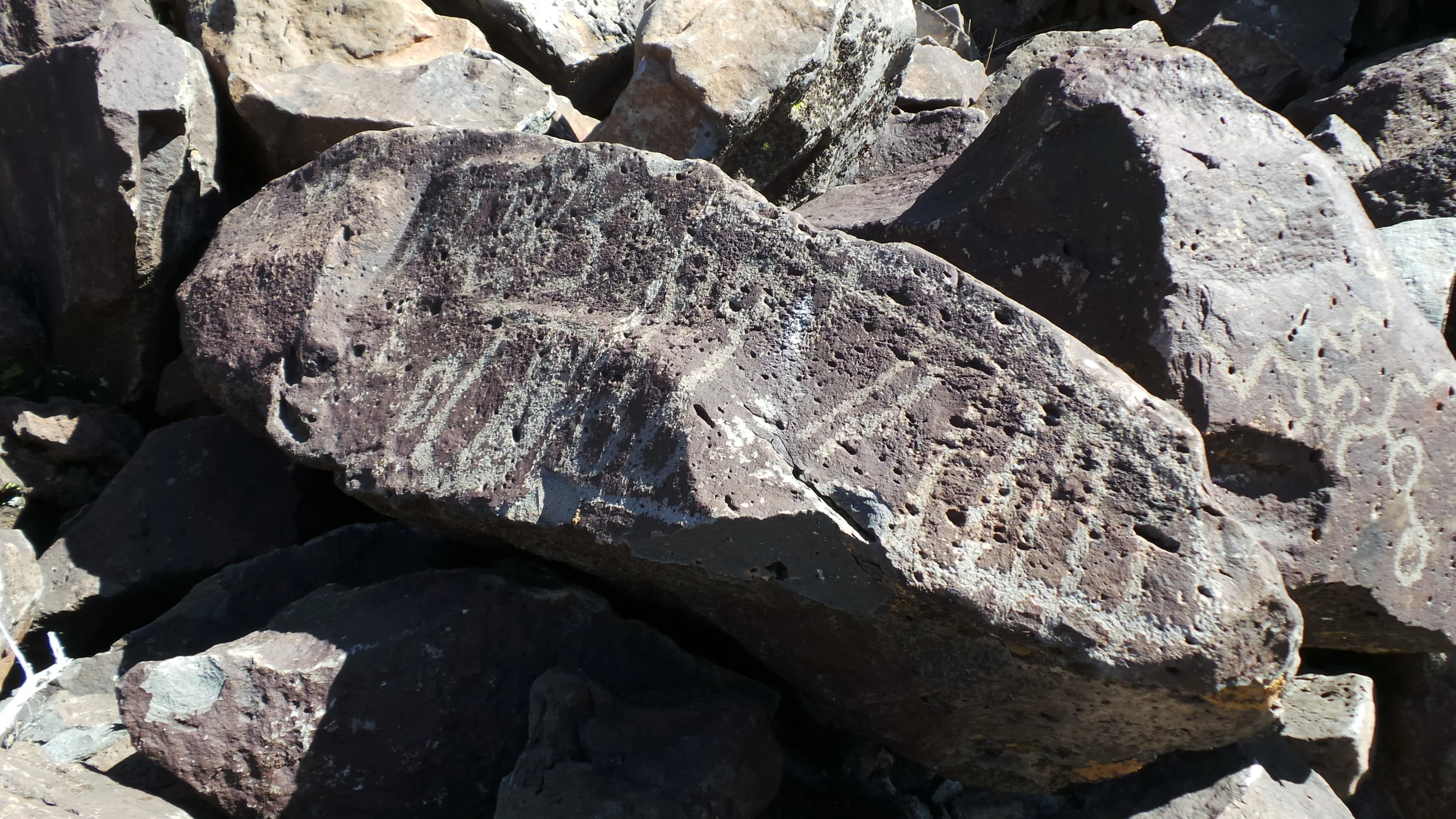 Lagomarsino Petroglyph Site 183.JPG