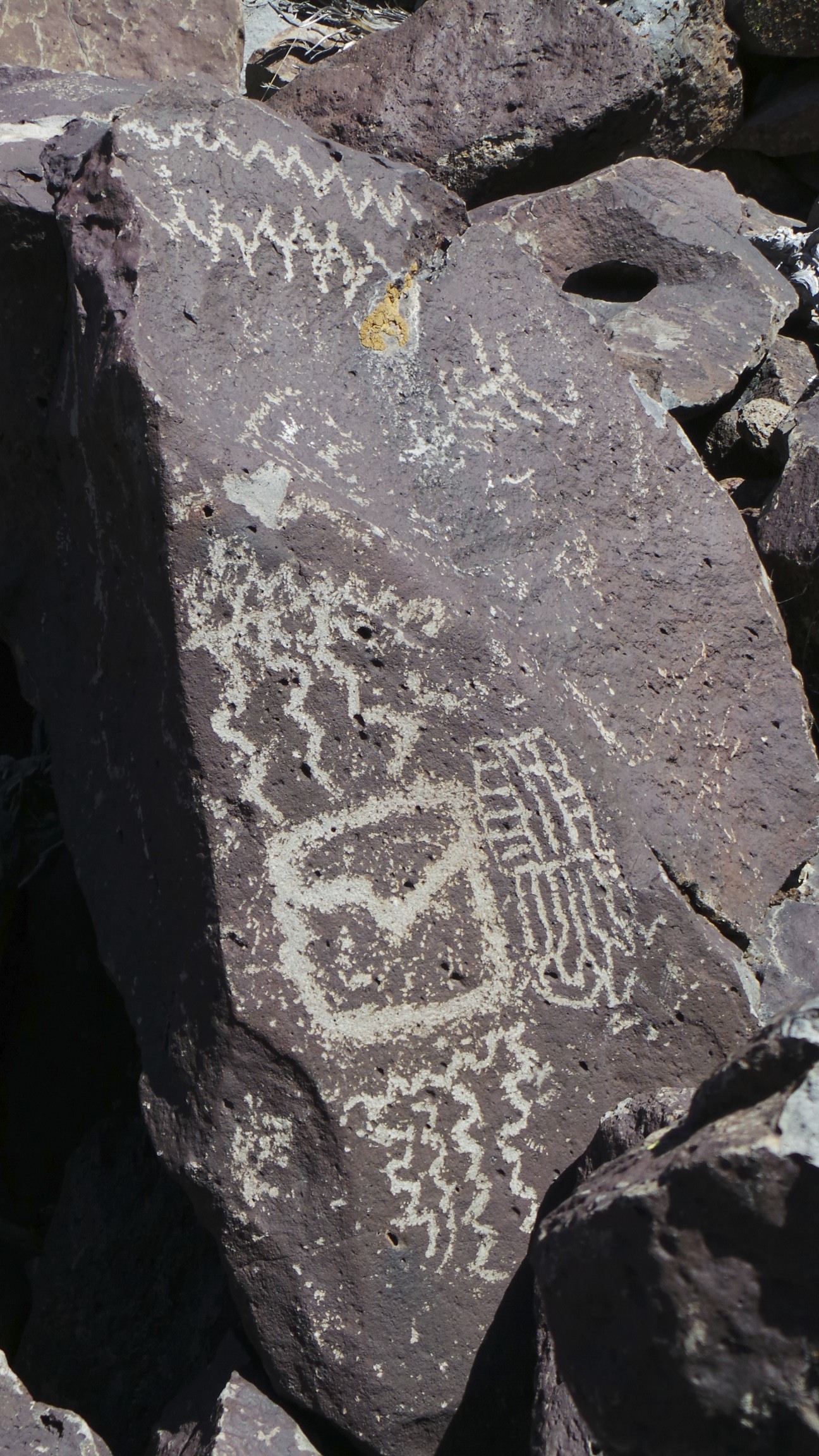 Lagomarsino Petroglyph Site 184.jpg