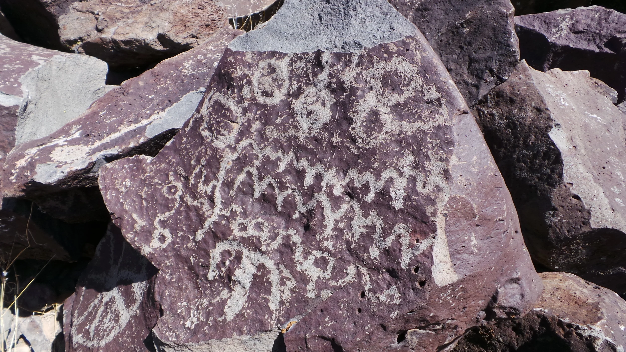 Lagomarsino Petroglyph Site 186.JPG