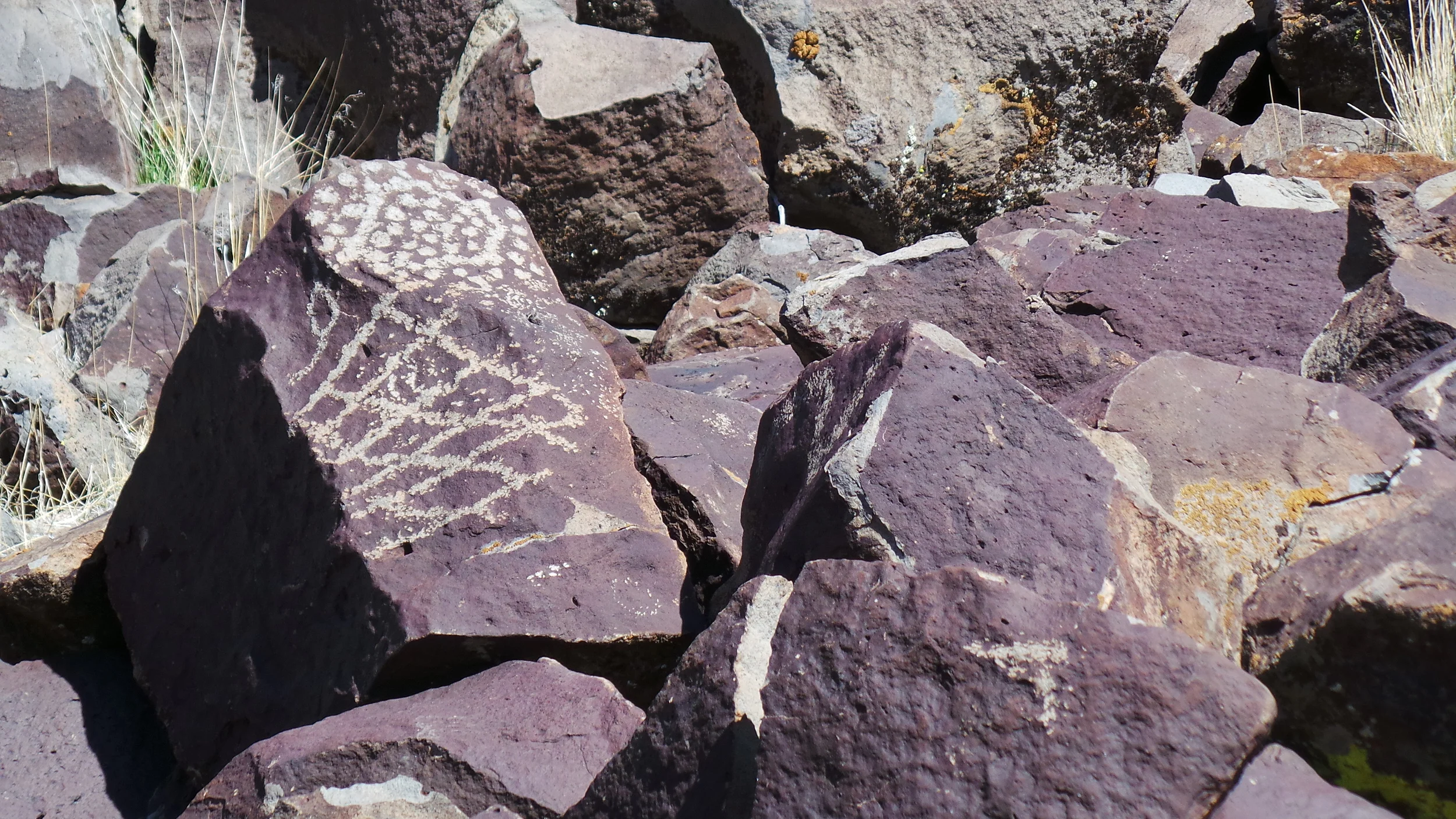 Lagomarsino Petroglyph Site 191.JPG