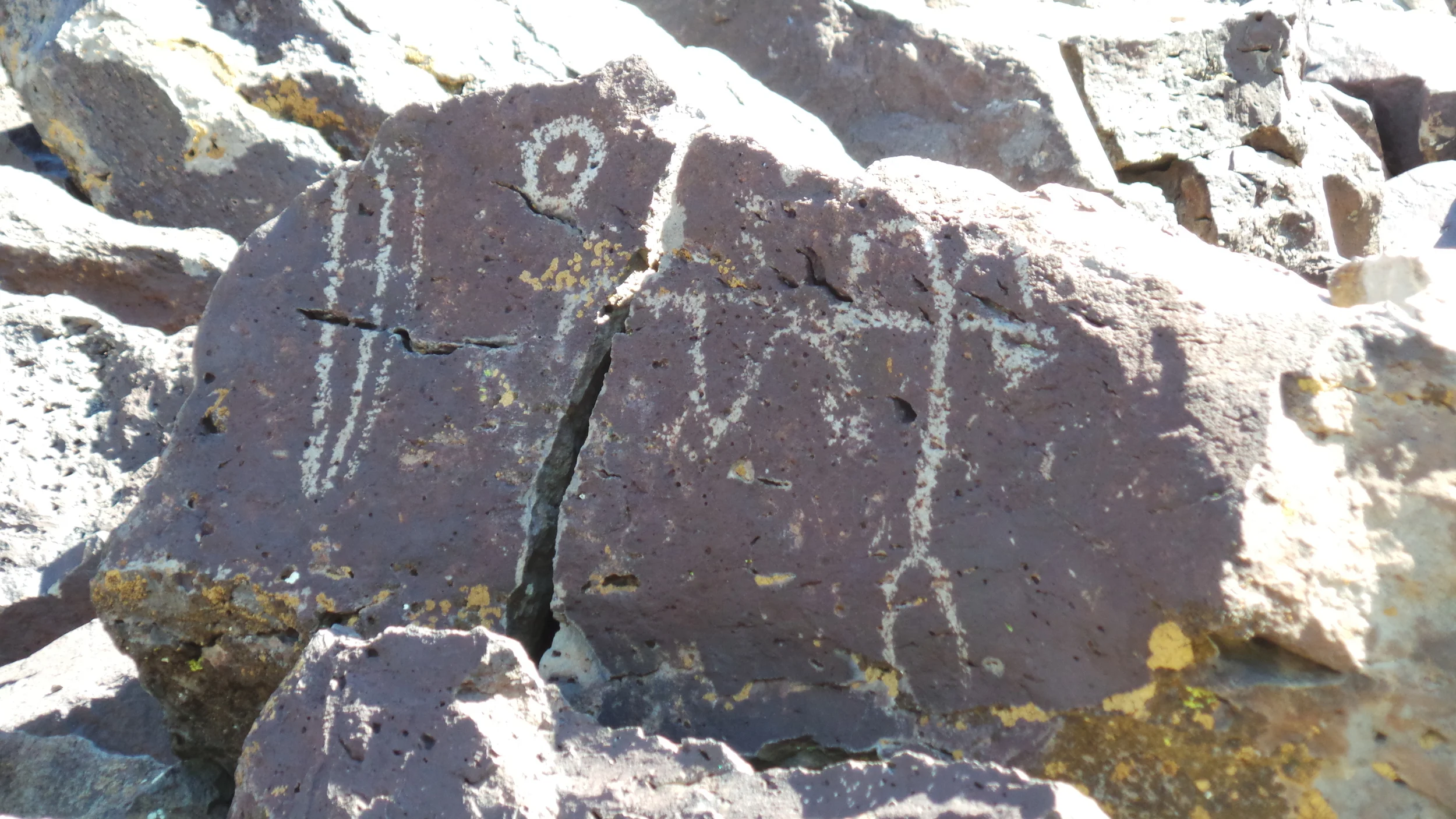 Lagomarsino Petroglyph Site 192.JPG