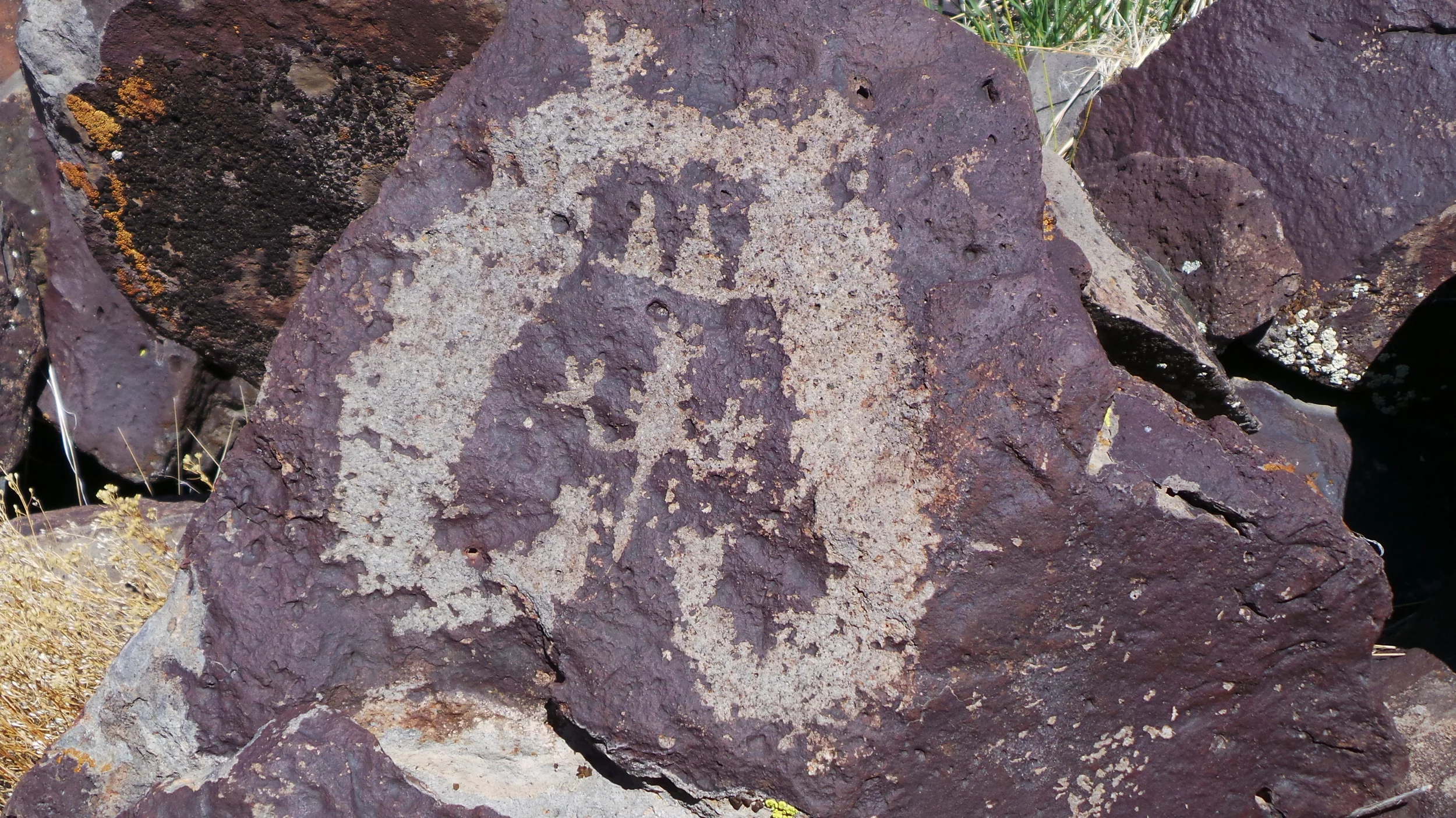 Lagomarsino Petroglyph Site 194.JPG