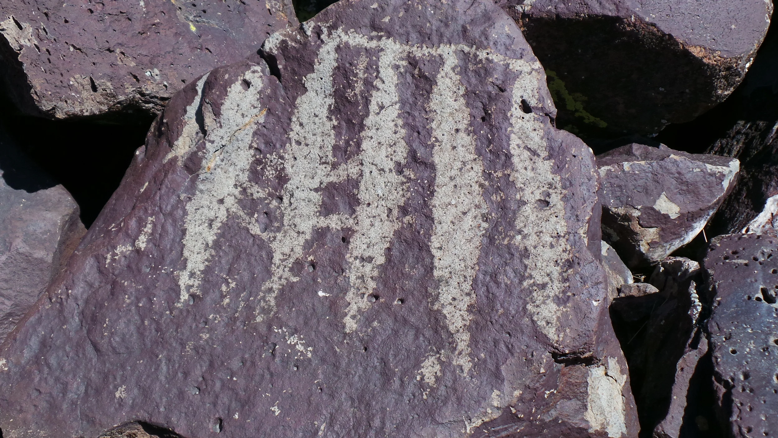 Lagomarsino Petroglyph Site 195.JPG