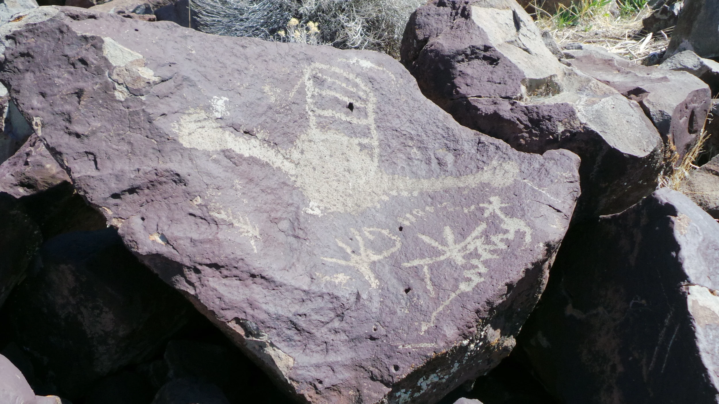 Lagomarsino Petroglyph Site 198.JPG