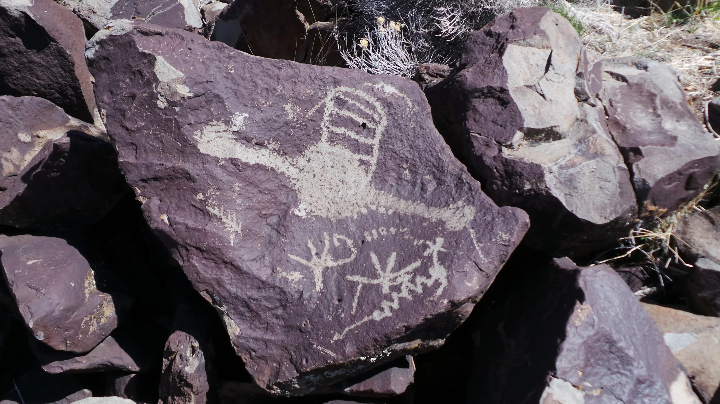 Lagomarsino Petroglyph Site 199.JPG