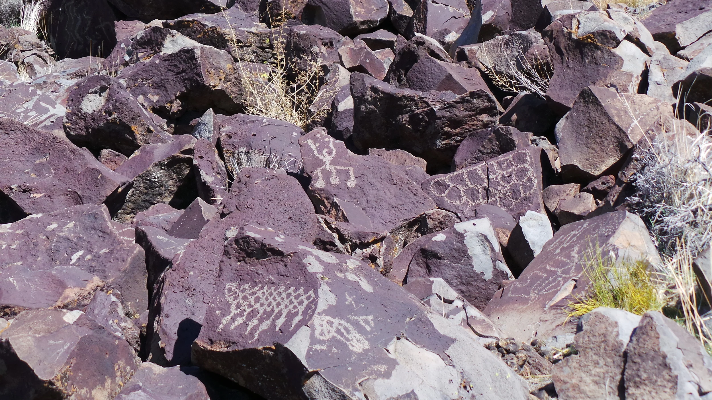 Lagomarsino Petroglyph Site 200.JPG