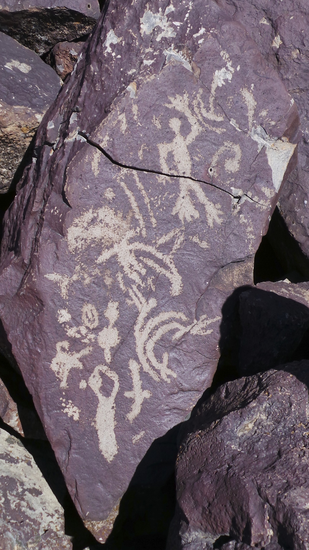 Lagomarsino Petroglyph Site 201.jpg