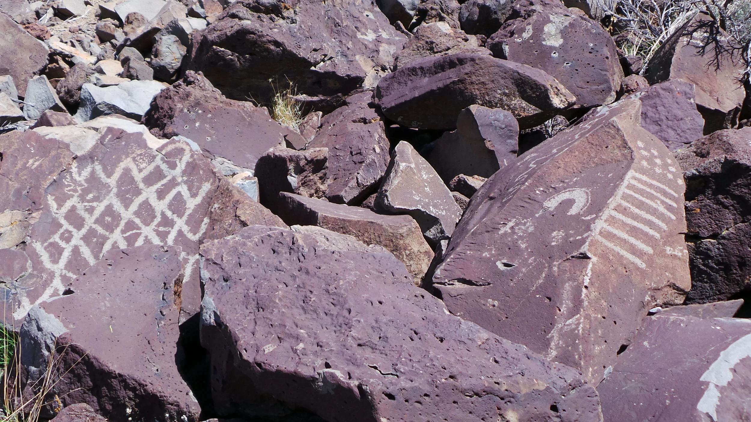 Lagomarsino Petroglyph Site 204.JPG