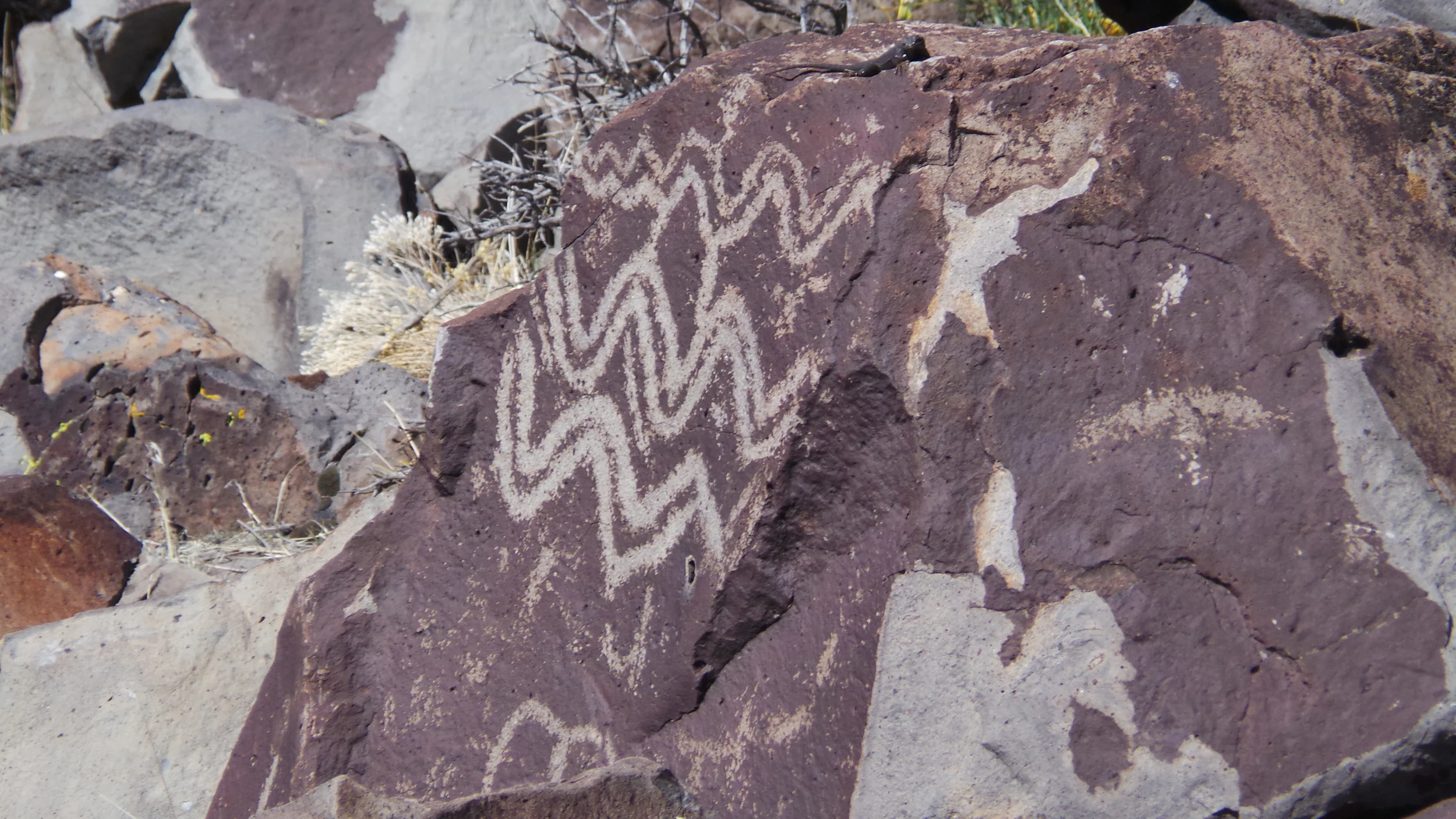 Lagomarsino Petroglyph Site 205.JPG