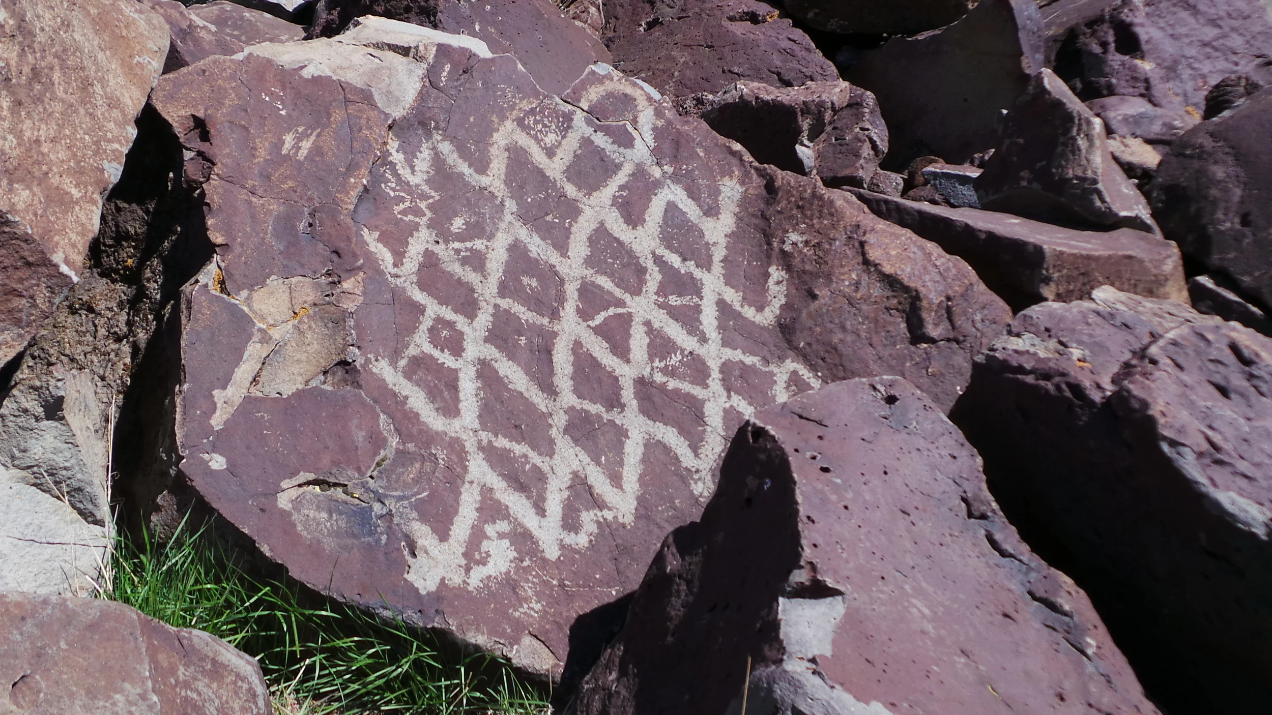 Lagomarsino Petroglyph Site 206.JPG