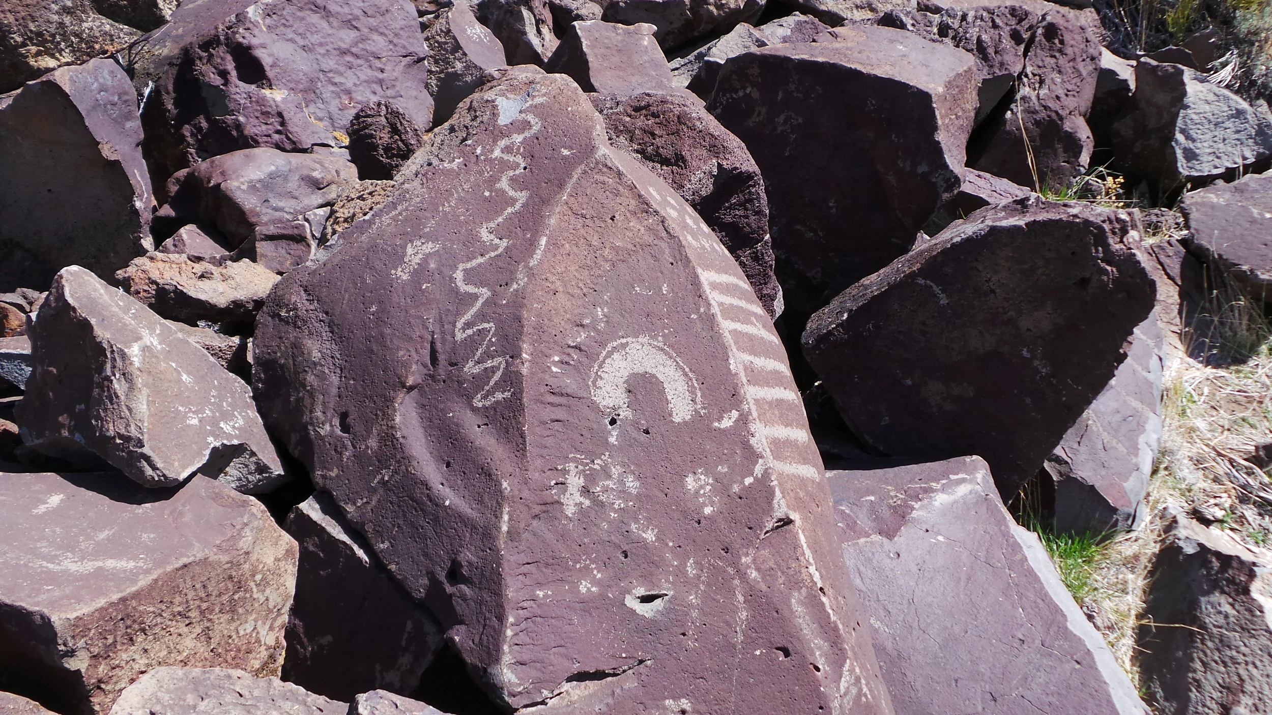 Lagomarsino Petroglyph Site 207.JPG