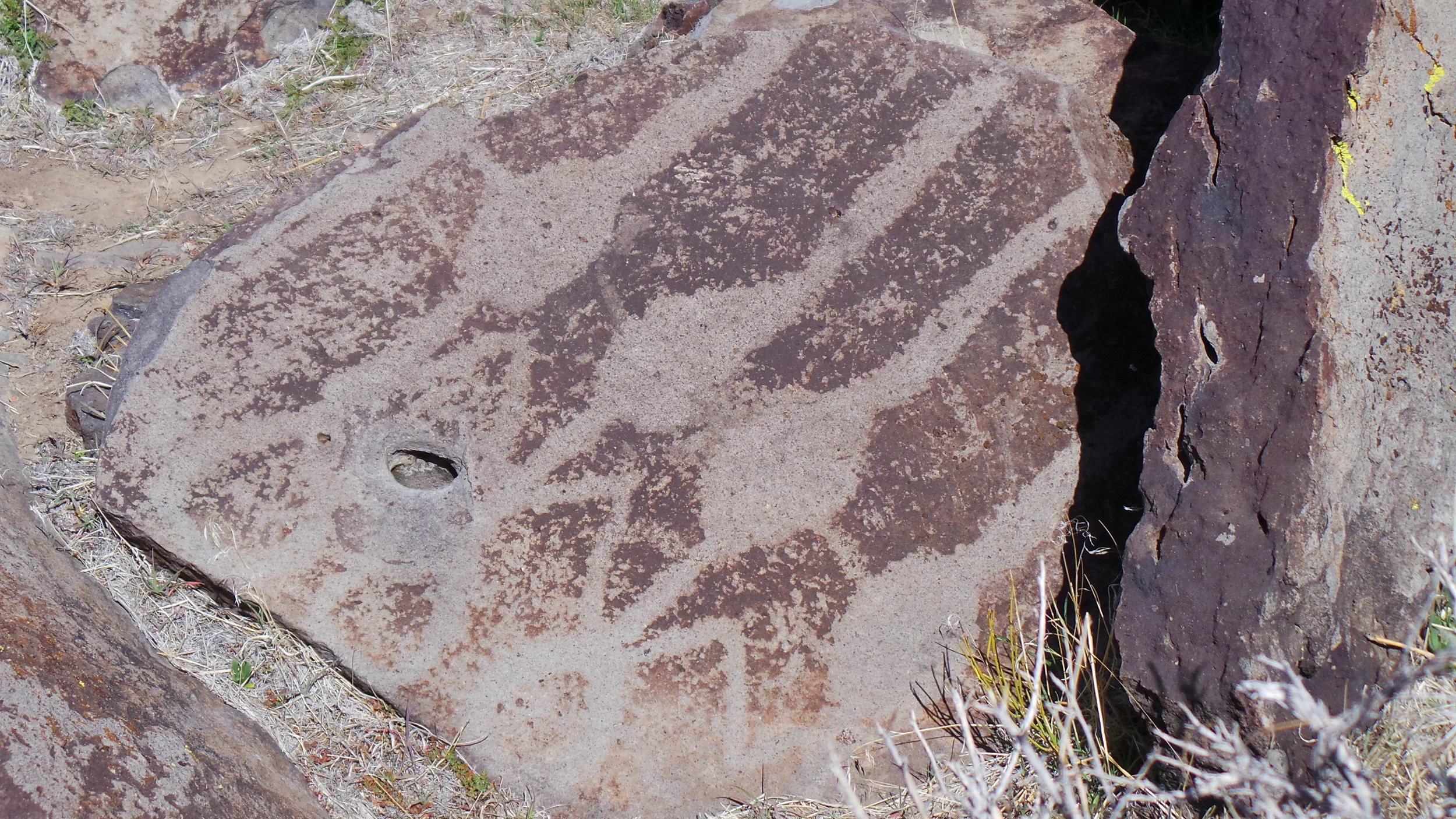 Lagomarsino Petroglyph Site 208.JPG