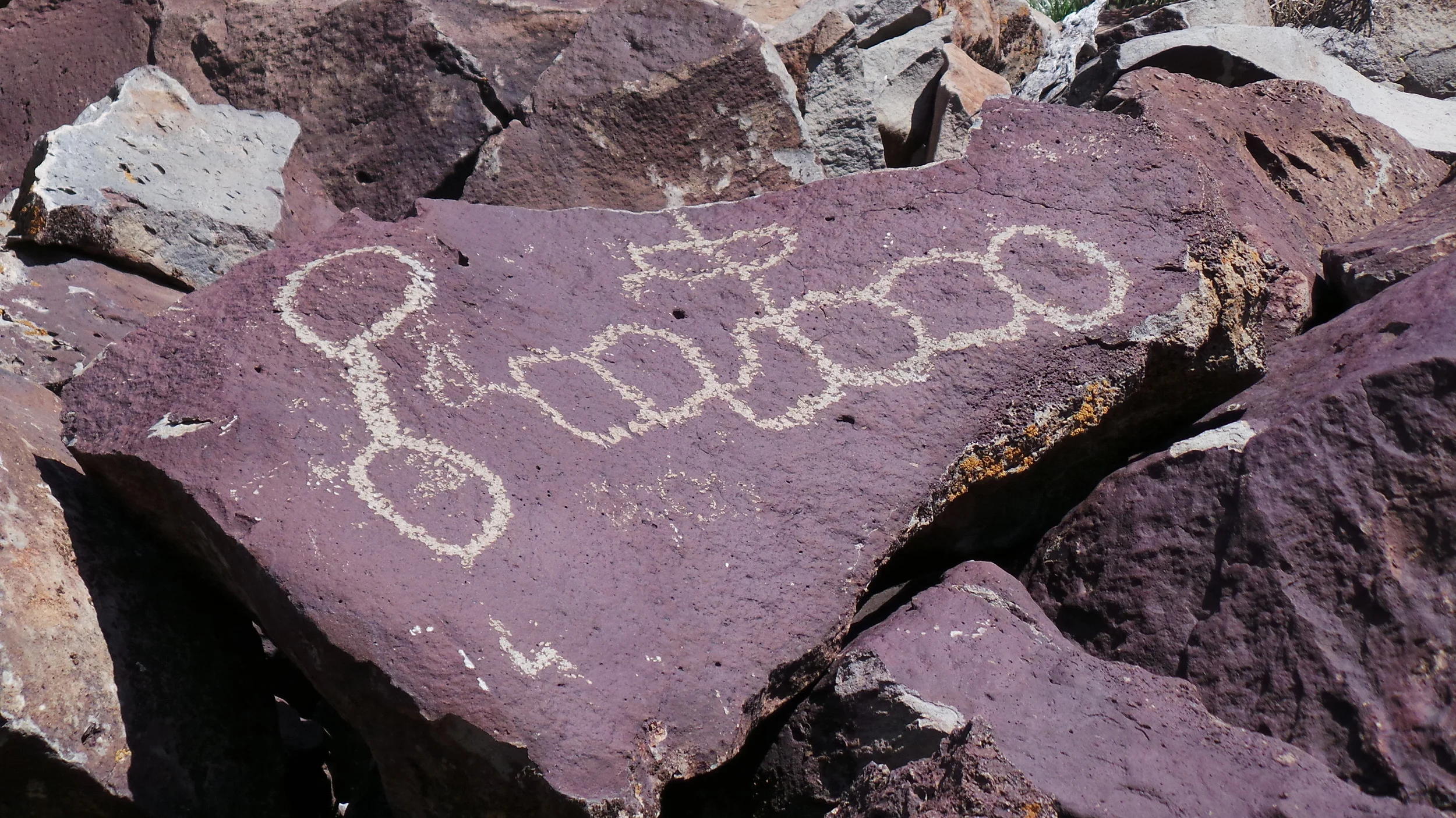 Lagomarsino Petroglyph Site 209.JPG