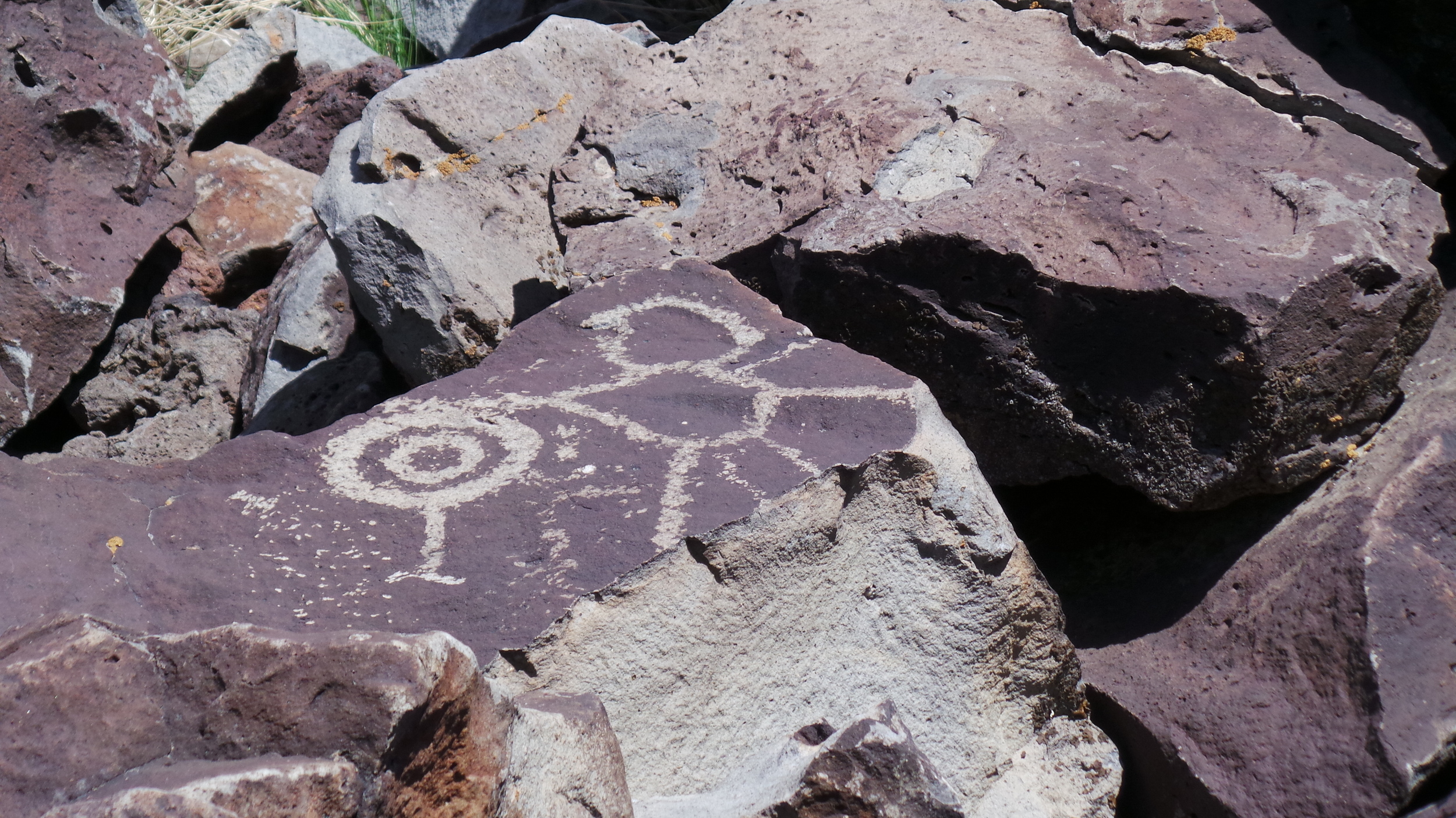 Lagomarsino Petroglyph Site 210.JPG