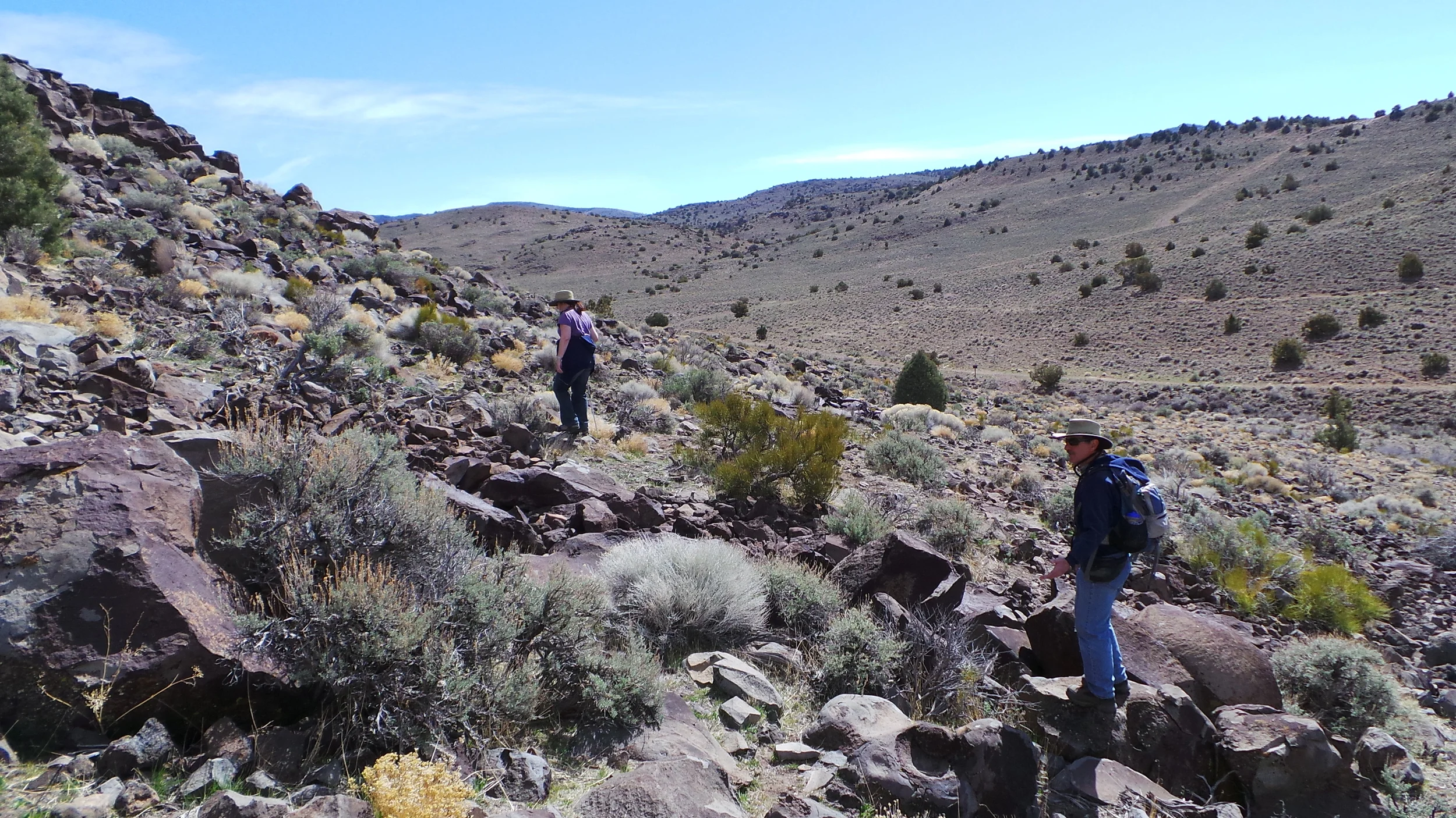 Lagomarsino Petroglyph Site 214.JPG