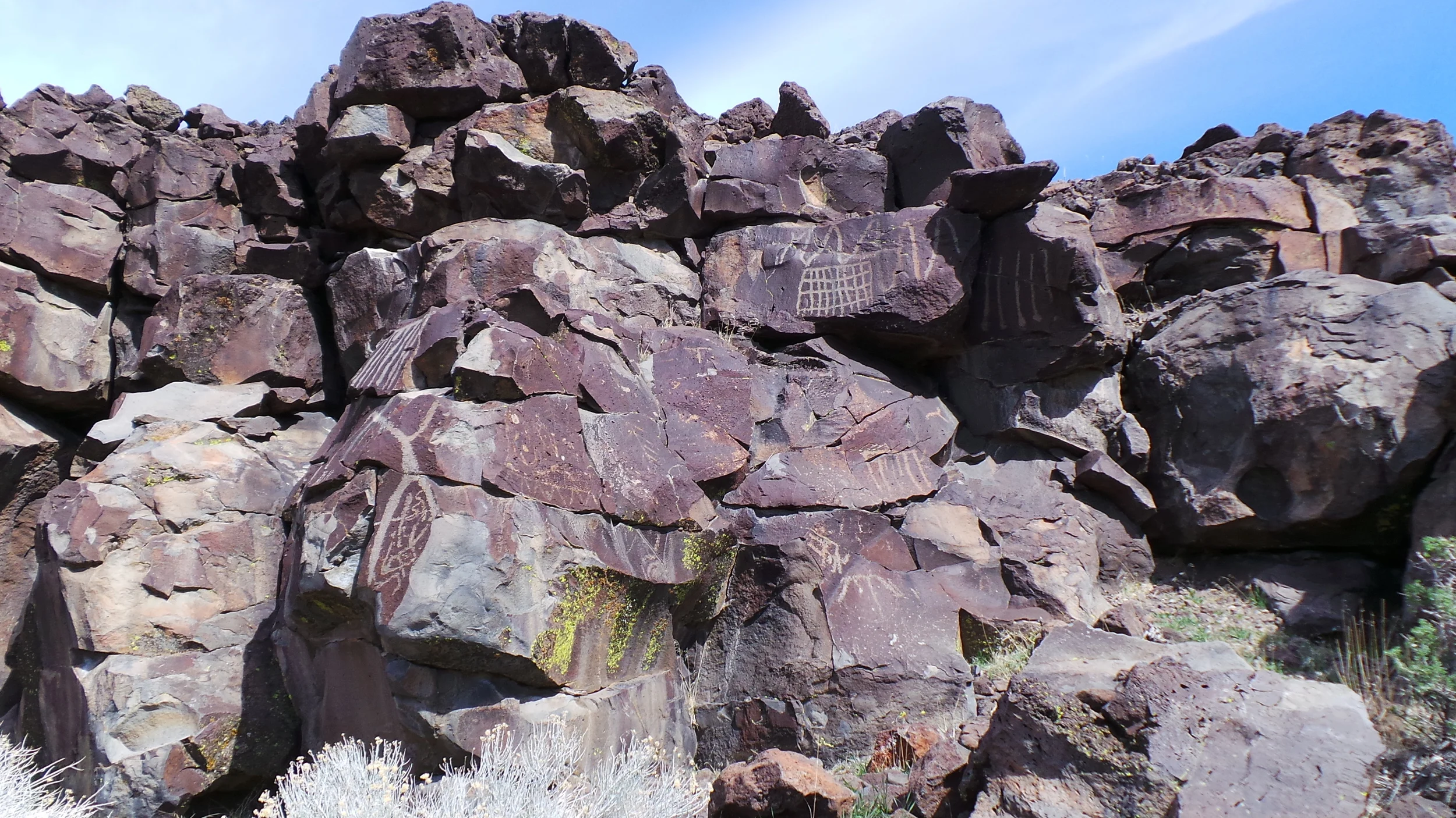 Lagomarsino Petroglyph Site 215.JPG