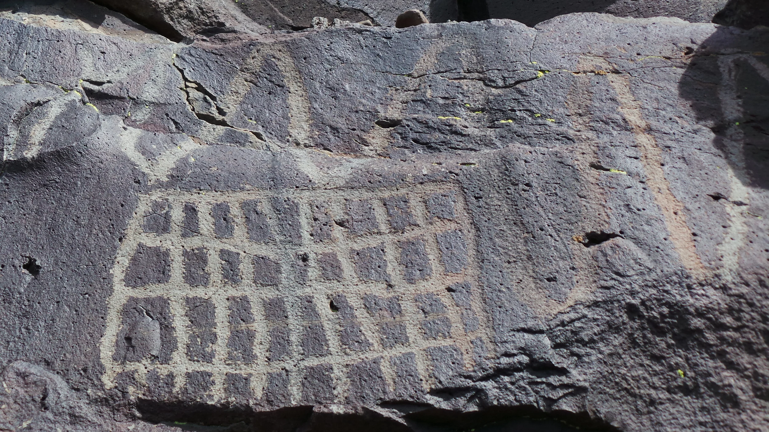 Lagomarsino Petroglyph Site 216.JPG