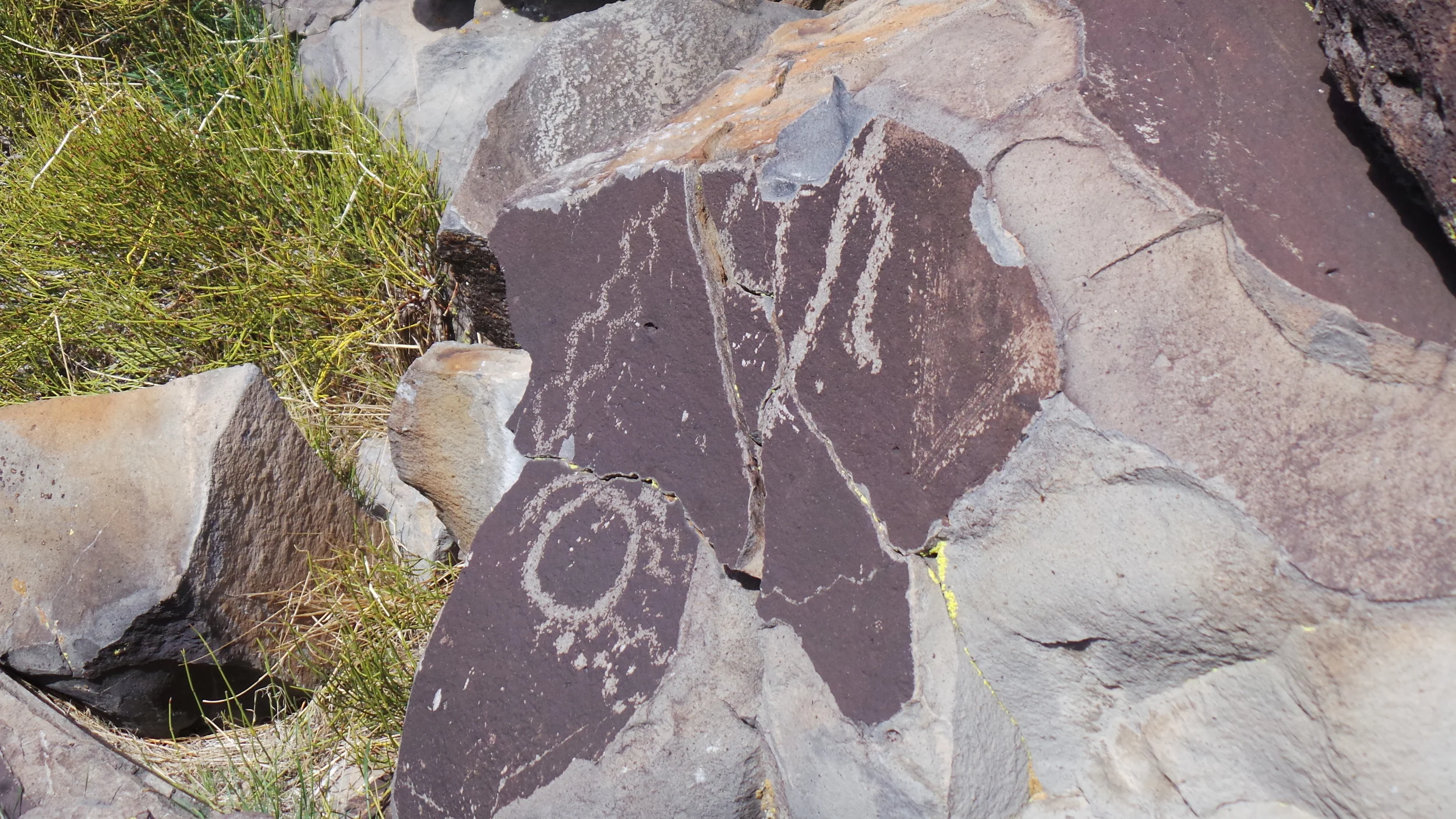 Lagomarsino Petroglyph Site 217.JPG