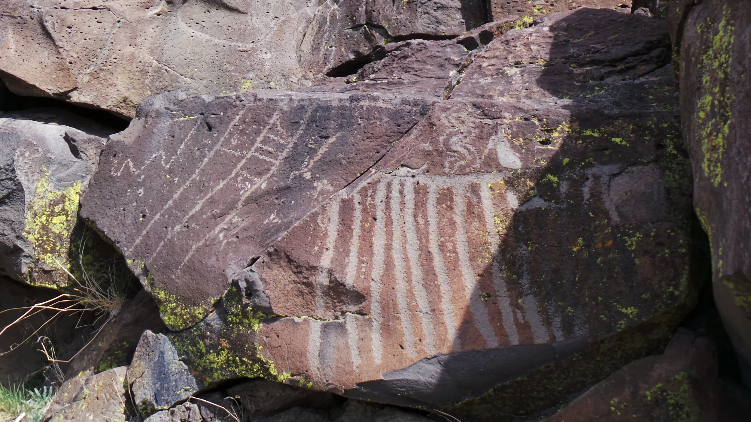 Lagomarsino Petroglyph Site 223.JPG