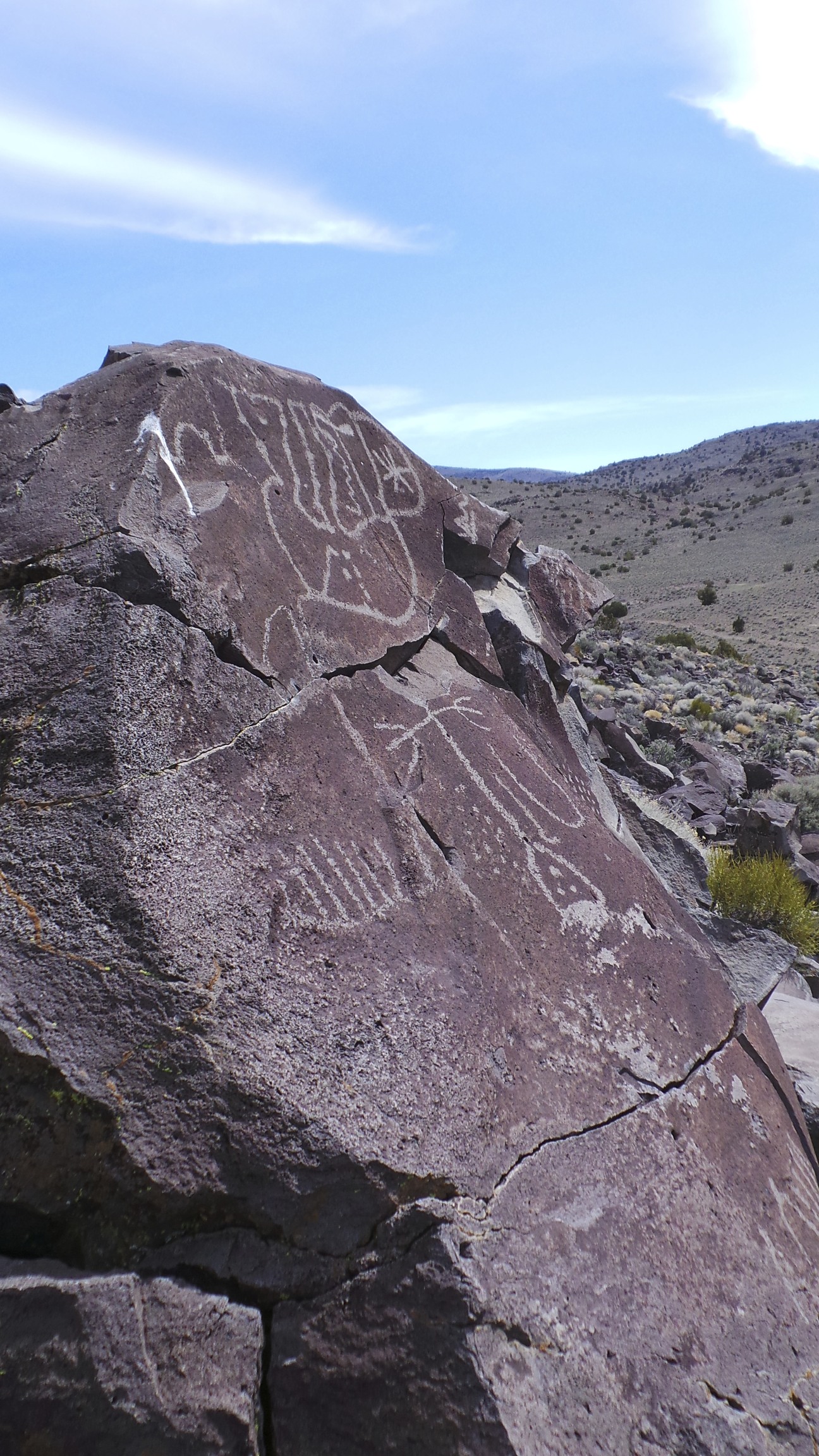 Lagomarsino Petroglyph Site 225.jpg