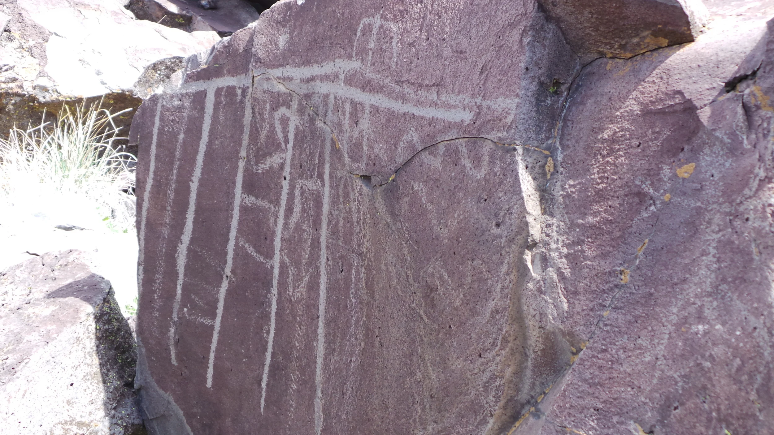 Lagomarsino Petroglyph Site 226.JPG
