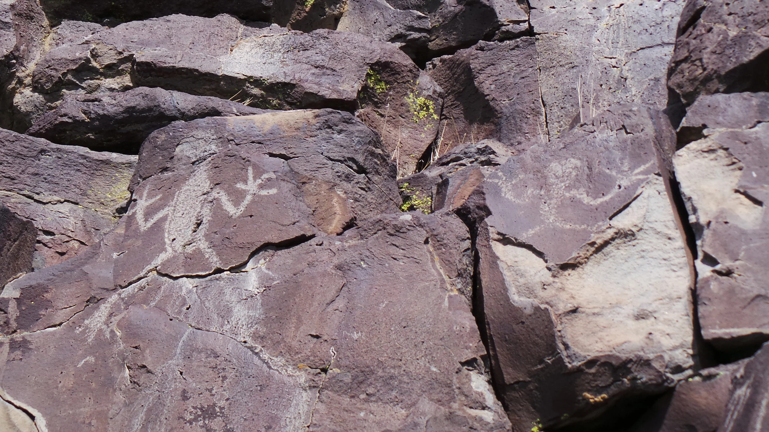 Lagomarsino Petroglyph Site 237.JPG