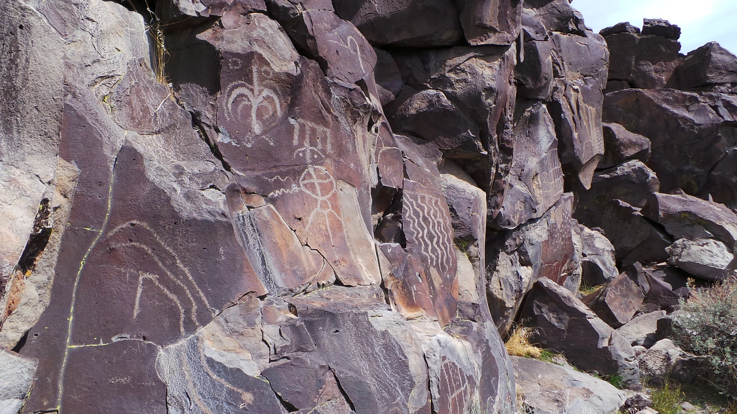Lagomarsino Petroglyph Site 238.JPG