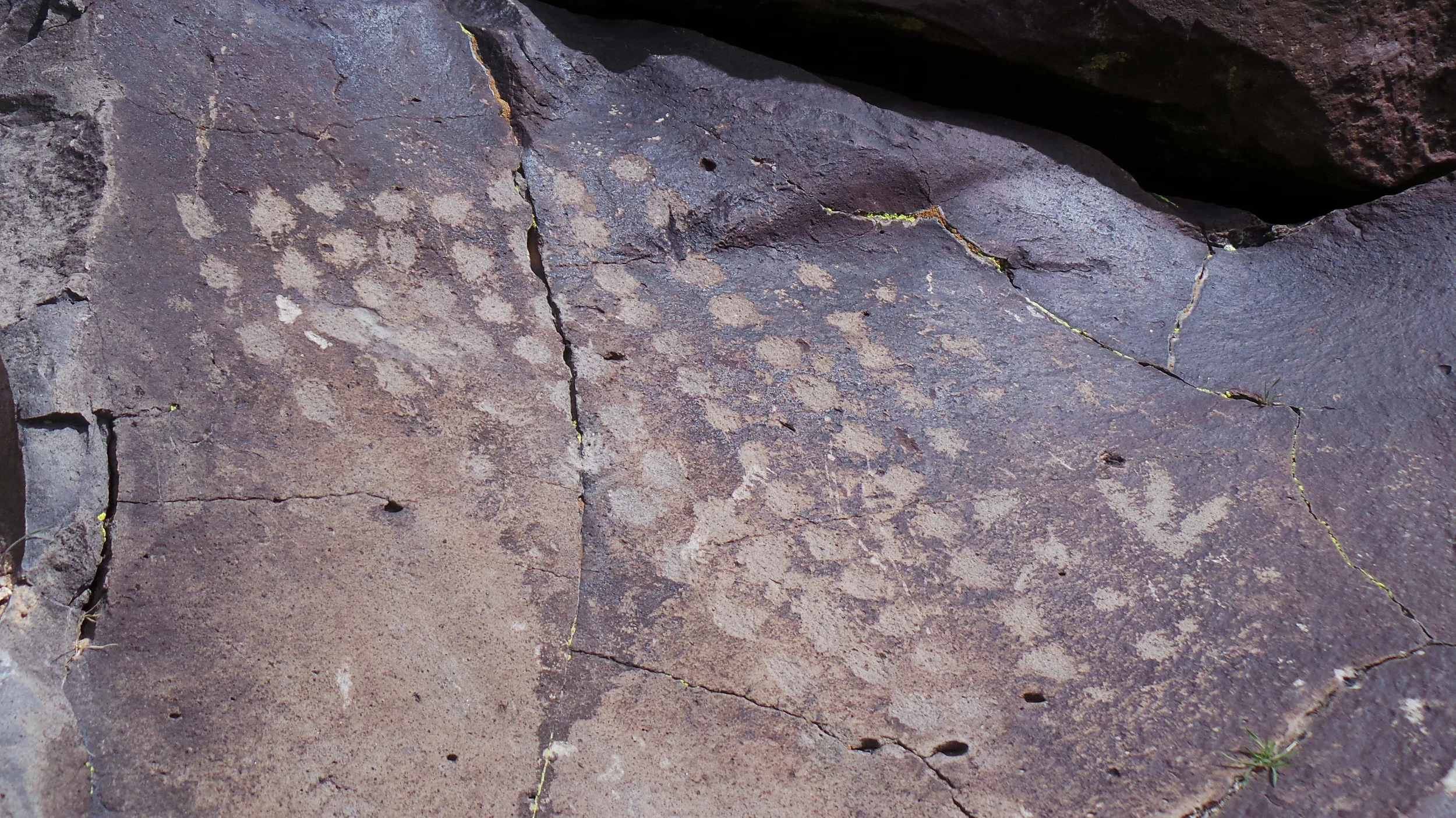 Lagomarsino Petroglyph Site 242.JPG